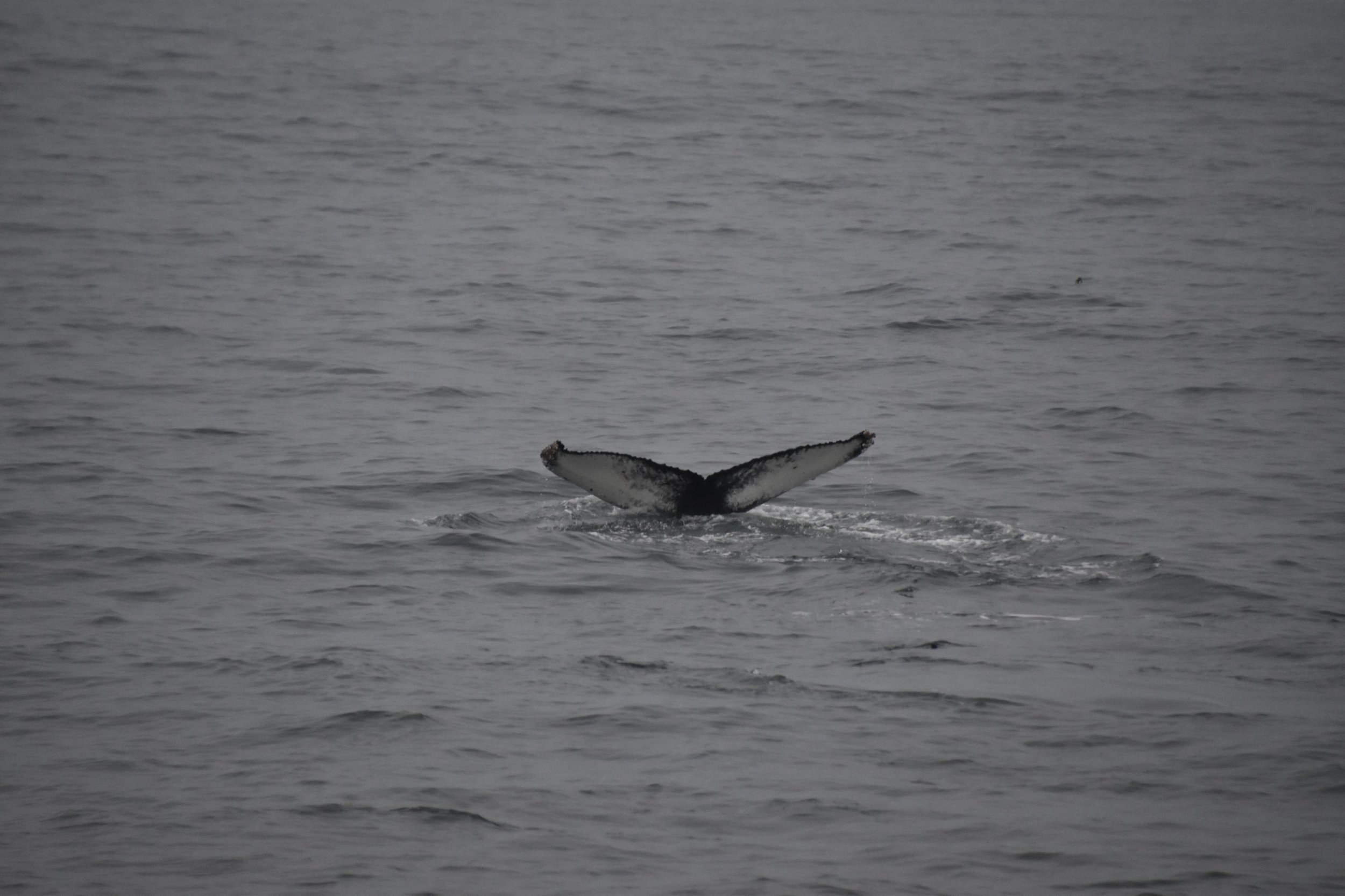 Tuesday, 9 November 2021