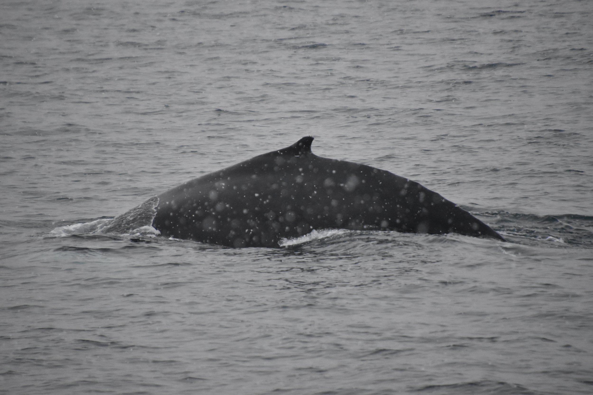 Tuesday, 16 November 2021