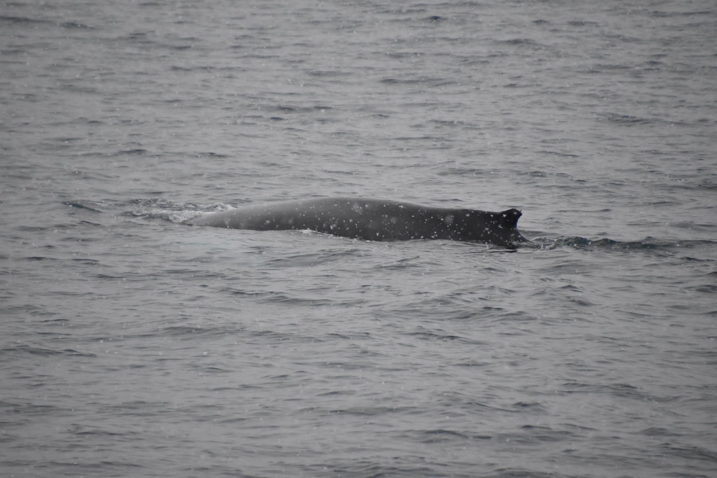 Tuesday, 16 November 2021