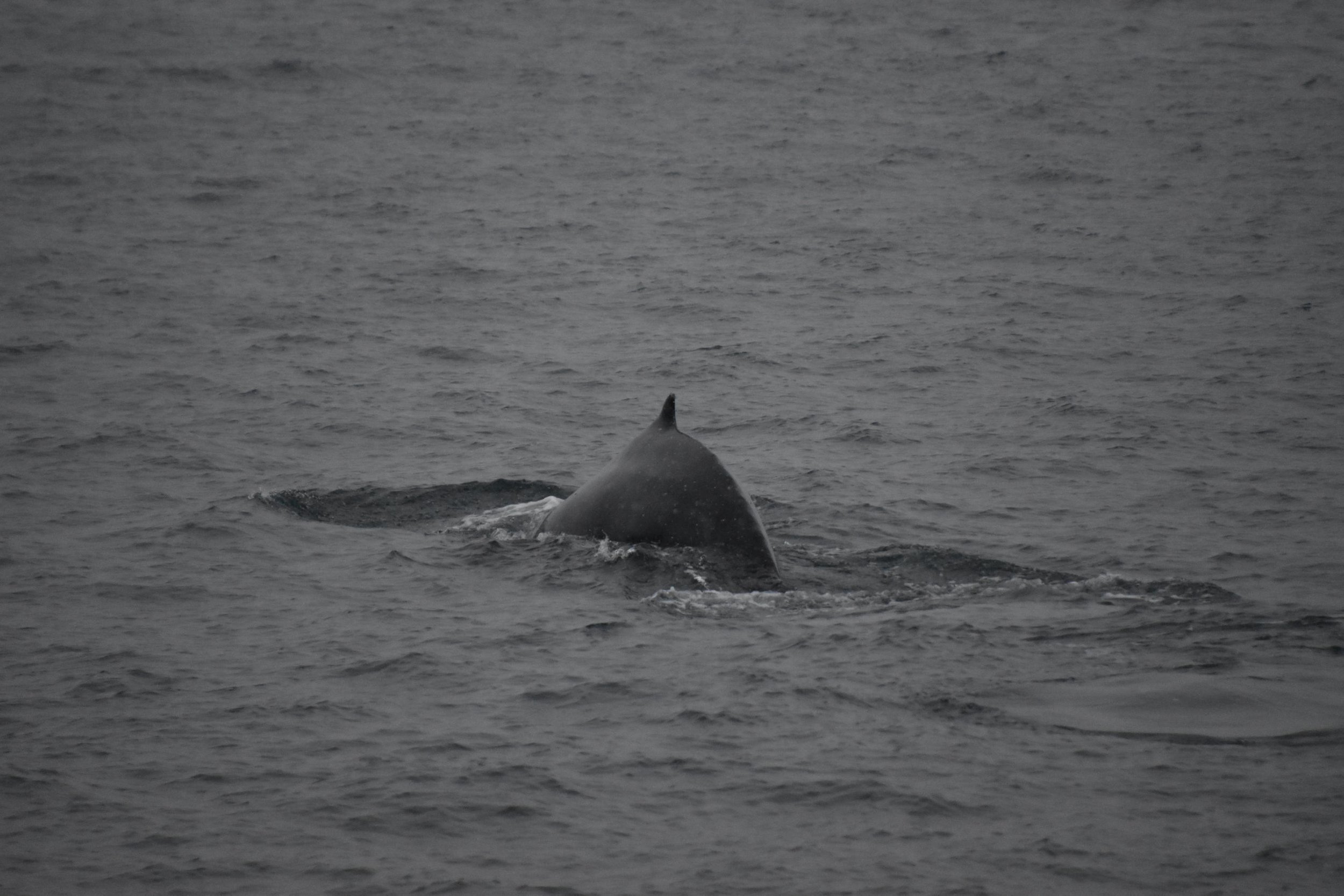 Tuesday, 16 November 2021