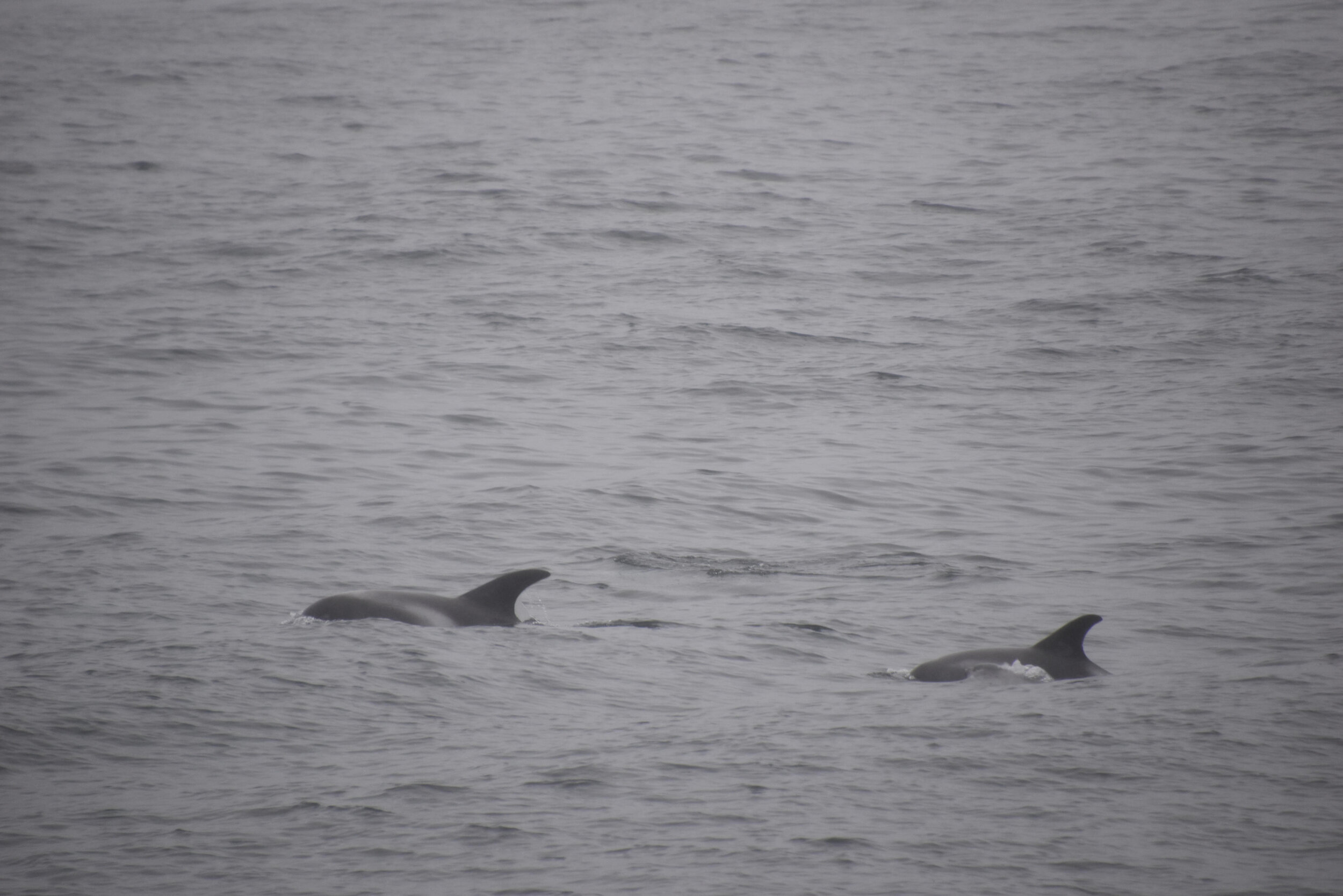 Tuesday, 24 August 2021