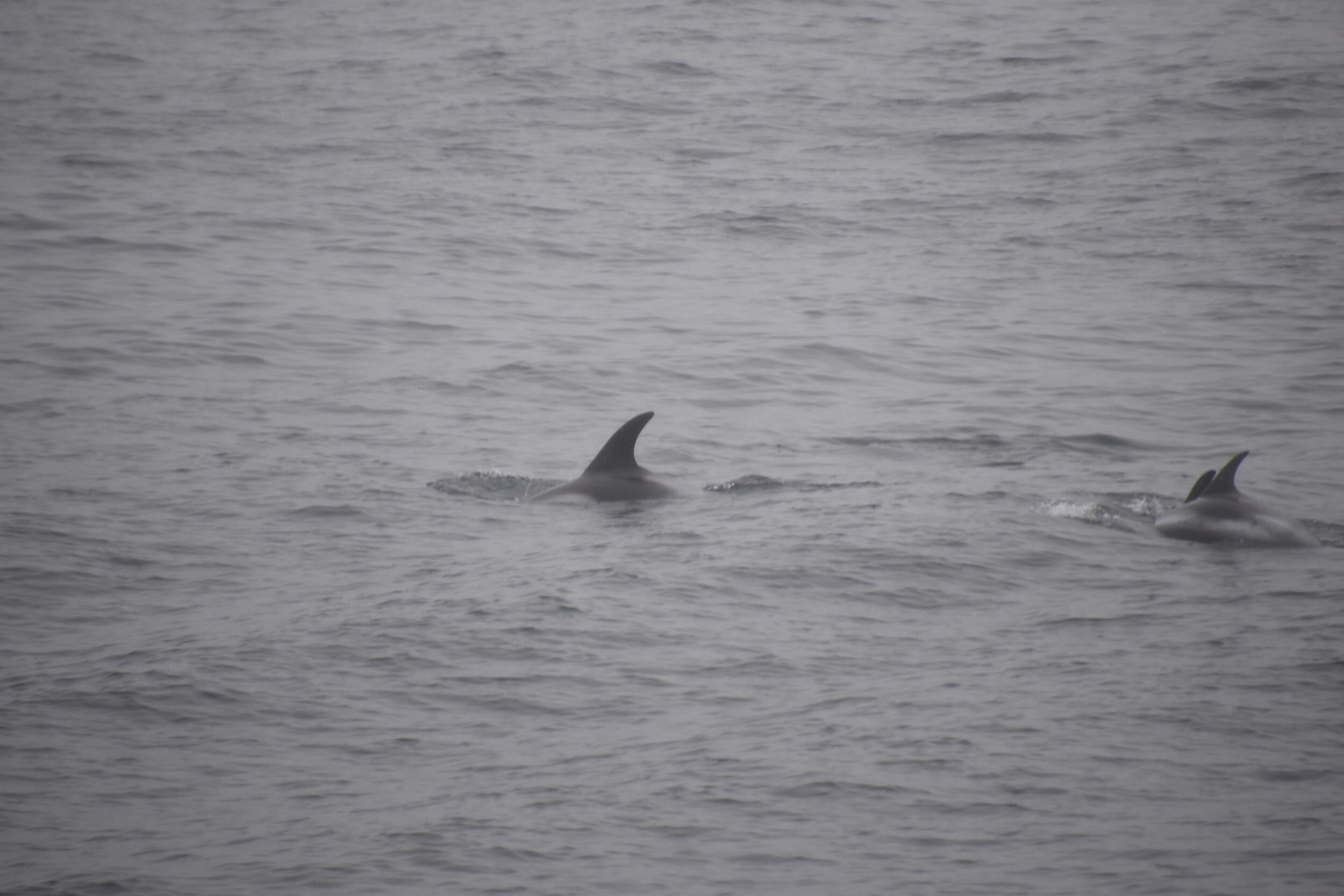Tuesday, 24 August 2021