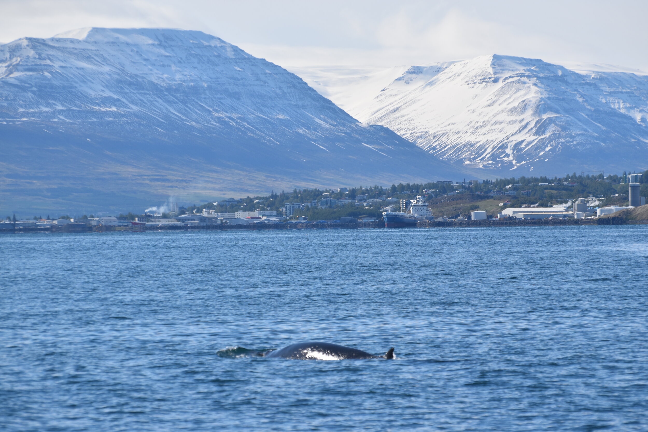 Tuesday, 15 June 2021