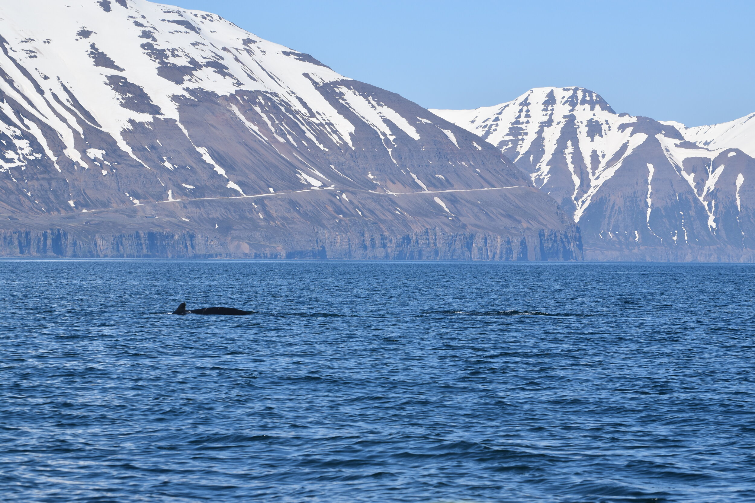 Thursday, 3 June 2021