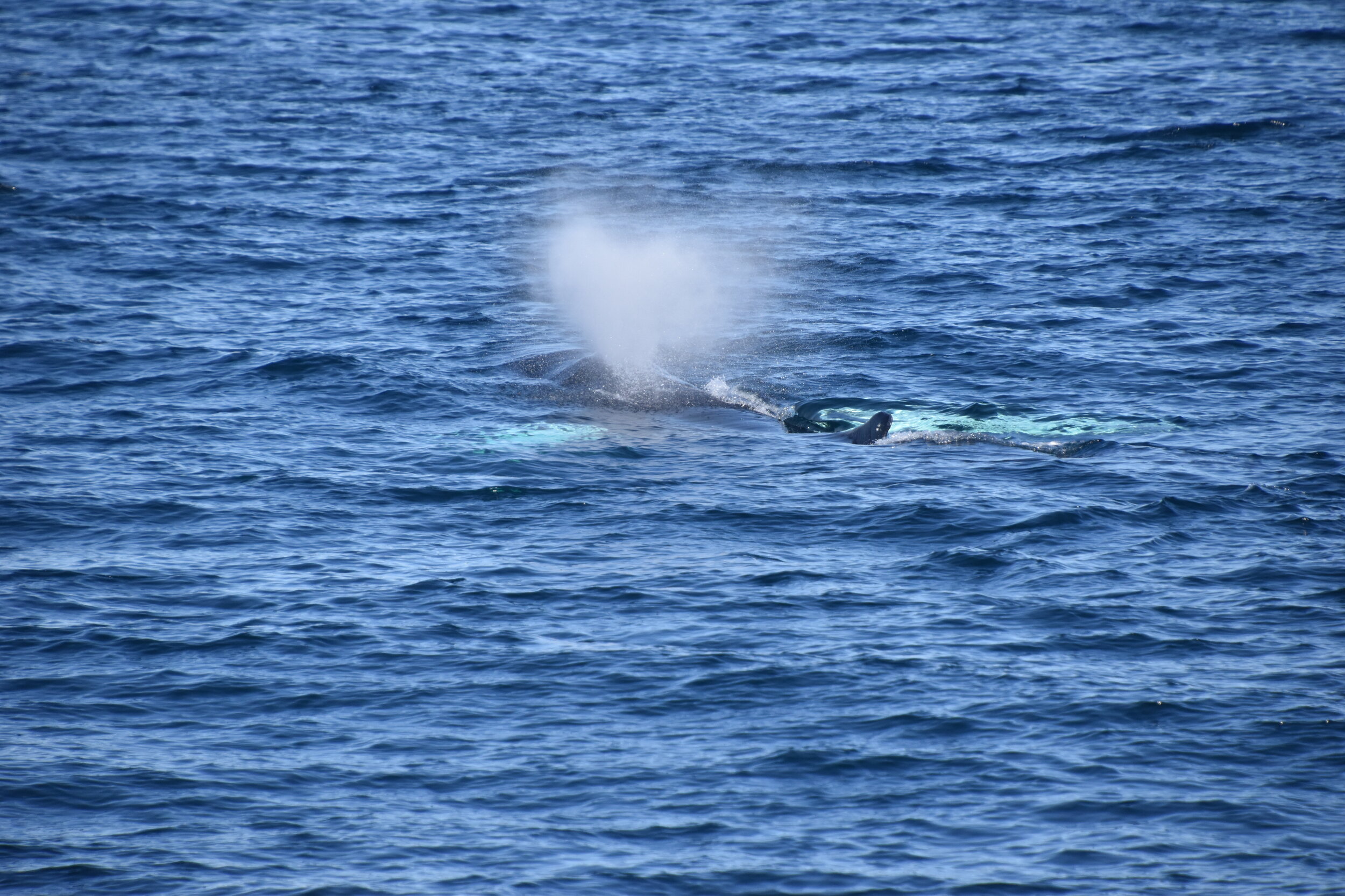 Wednesday, 12 May 2021