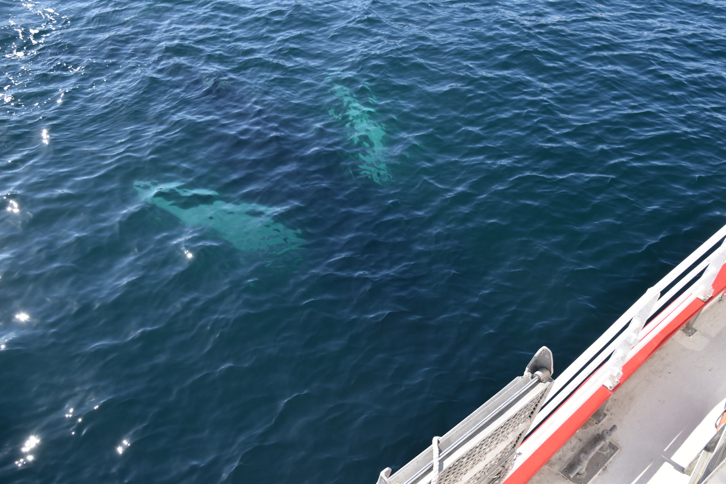 Wednesday, 12 May 2021