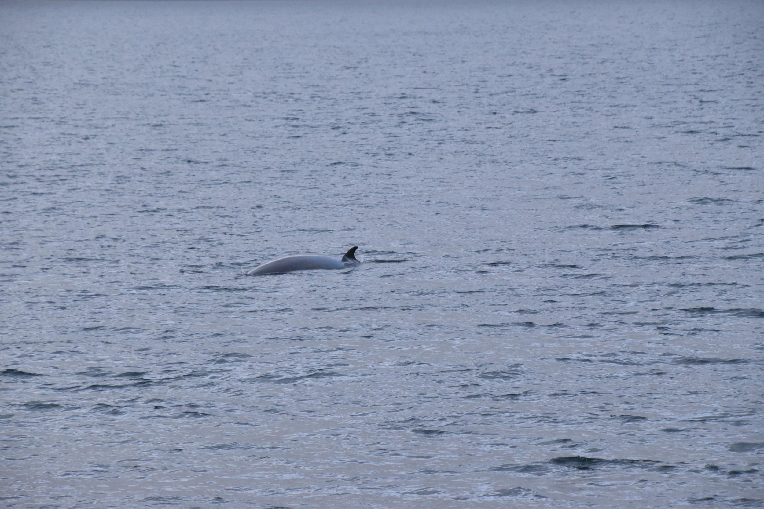 Thursday, 4 November 2021