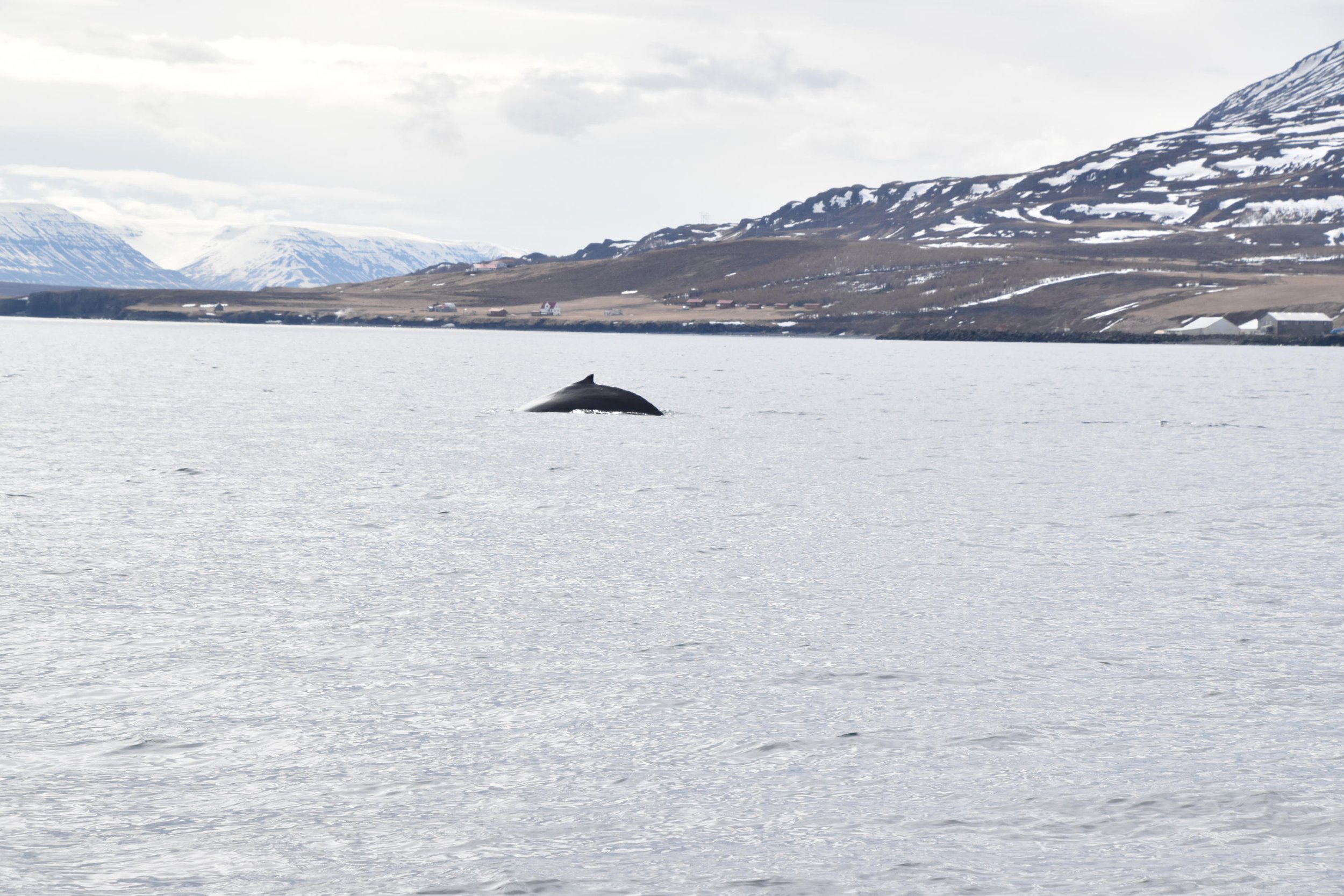 Wednesday, 20 April 2022