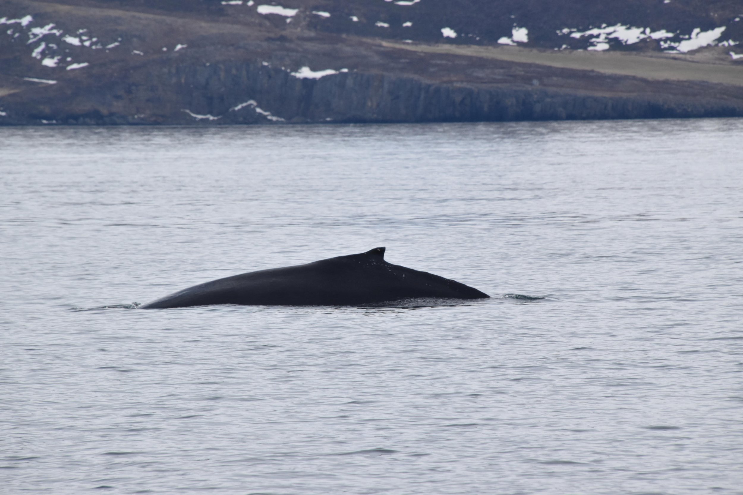 Wednesday, 20 April 2022