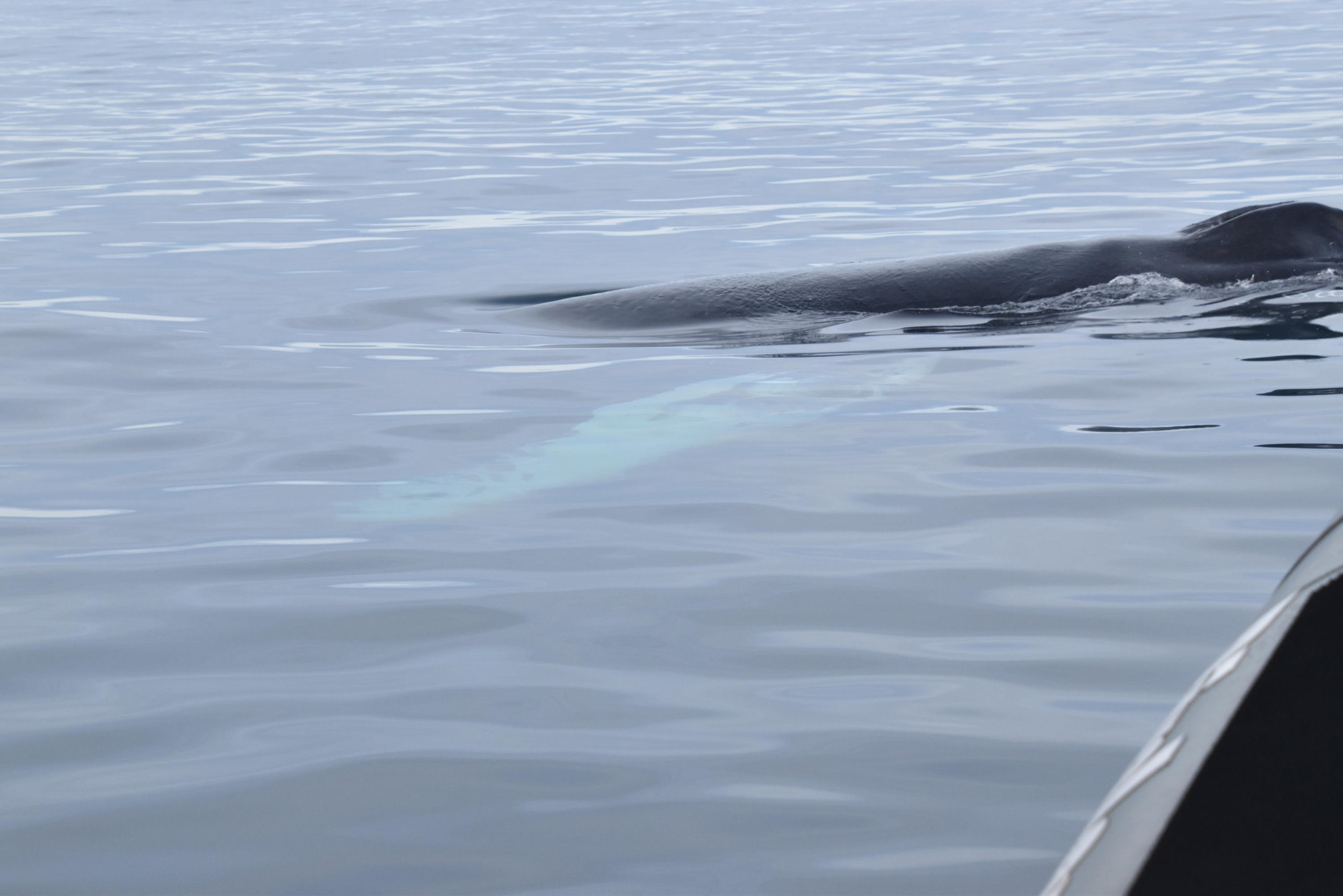 Wednesday, 20 April 2022