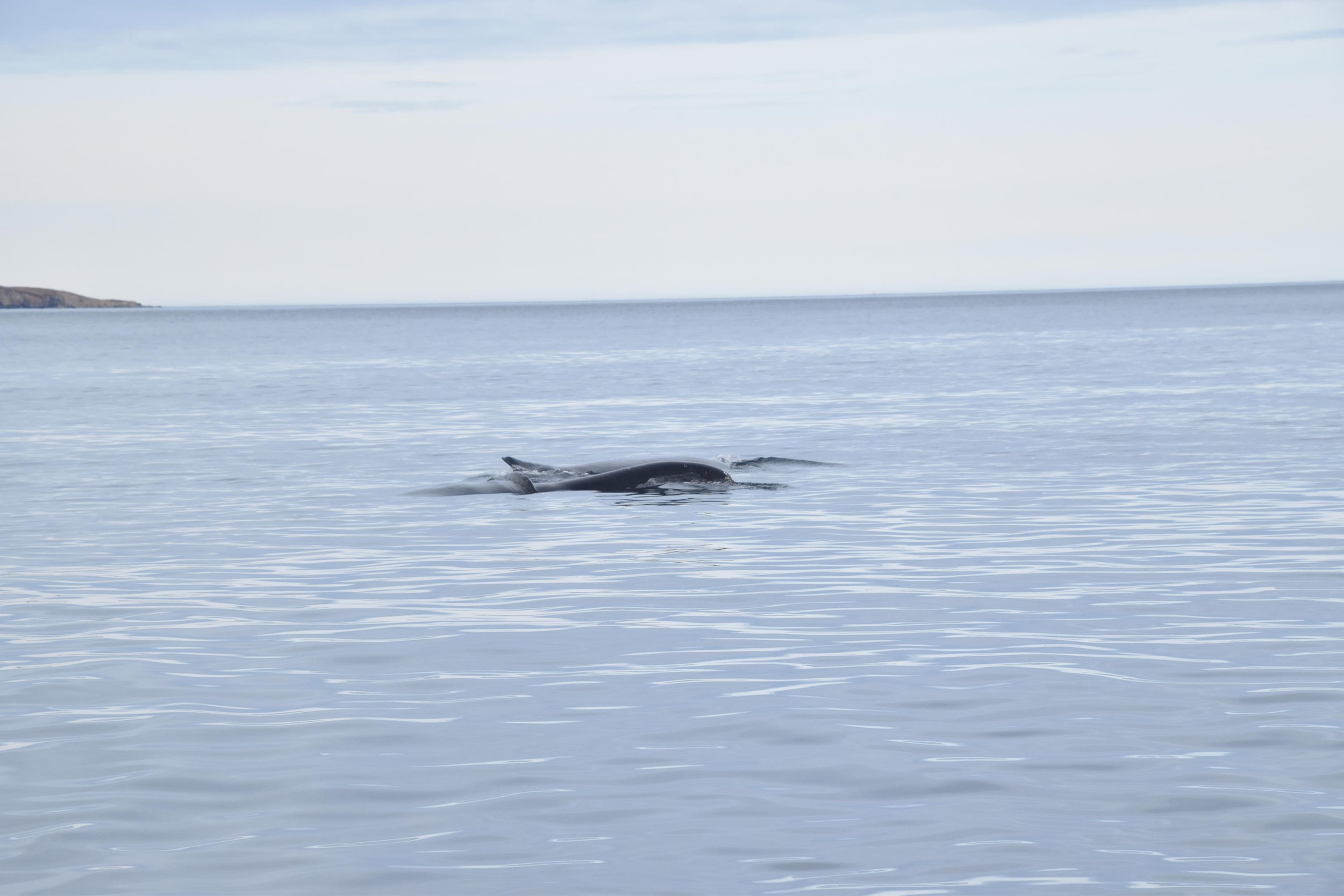 Wednesday, 20 April 2022