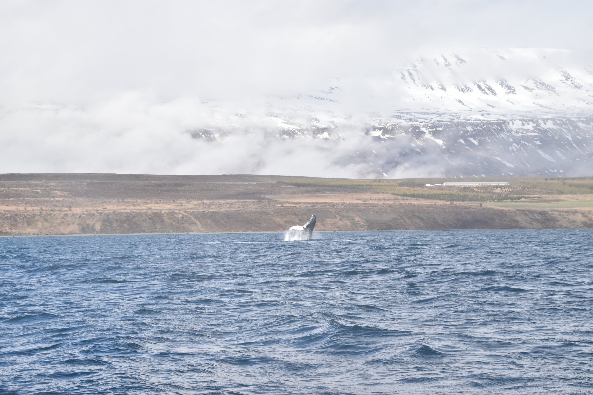 Monday, 9 May 2022