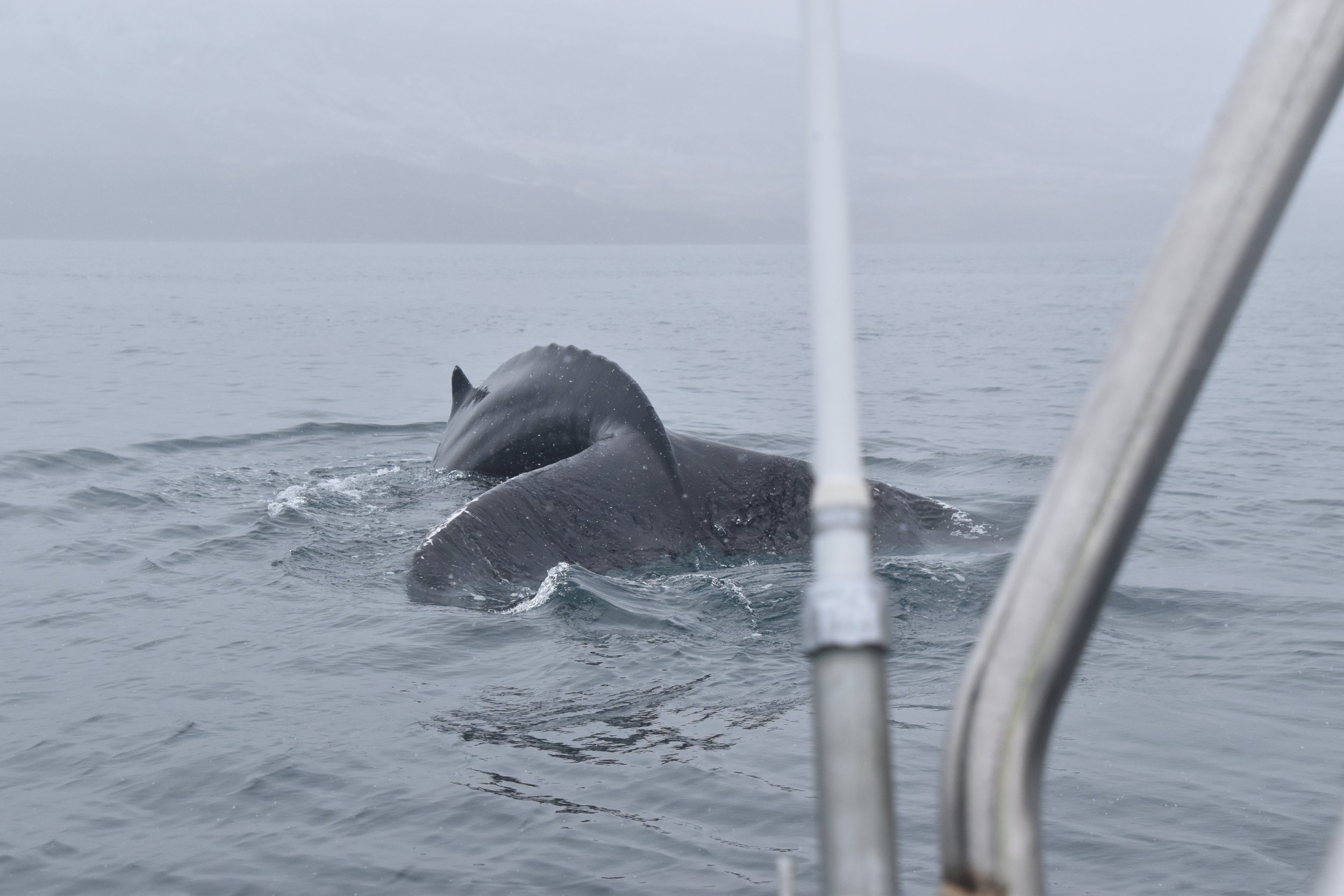 Wednesday, 11 May 2022