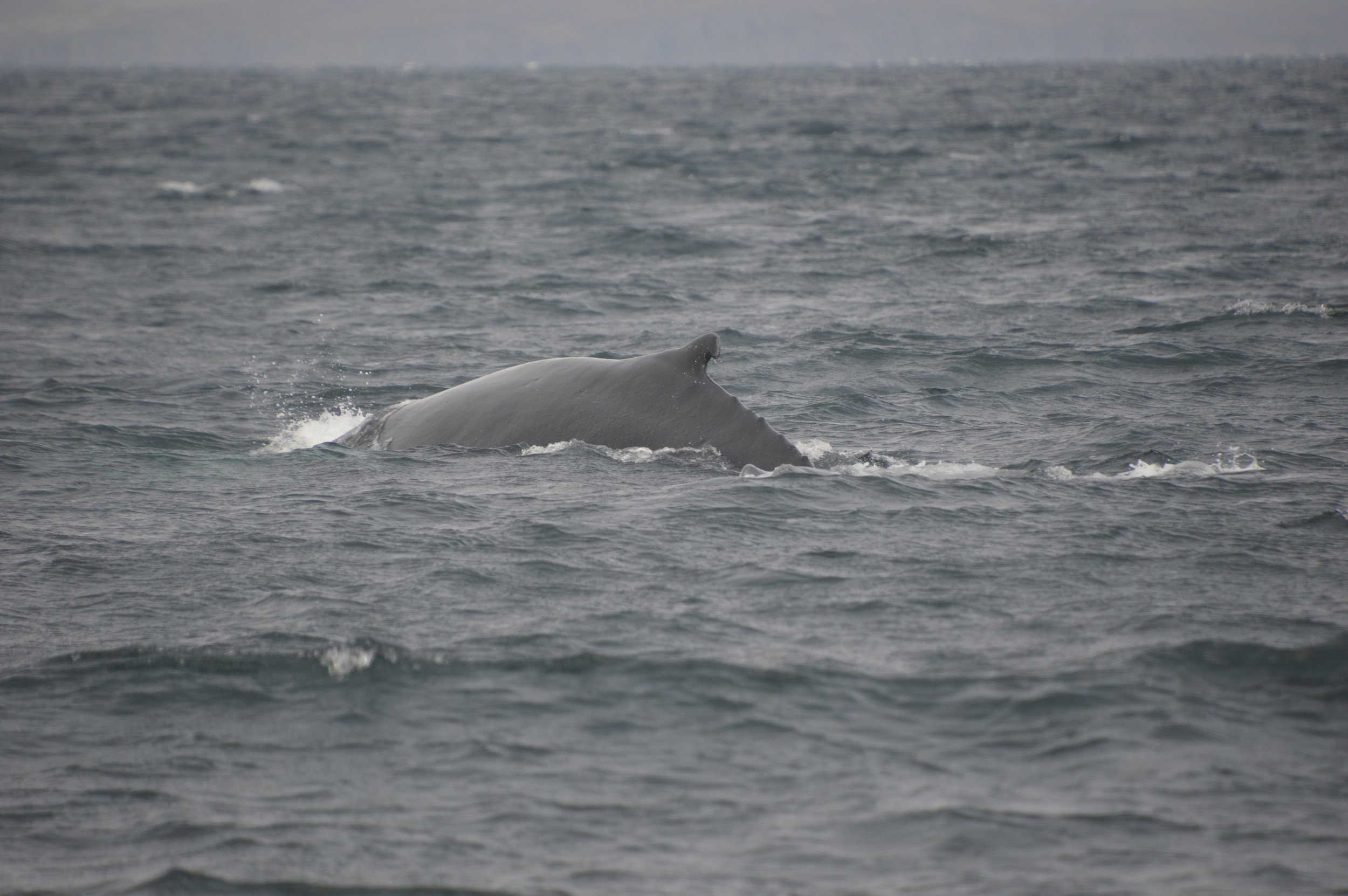 Wednesday, 1 June 2022