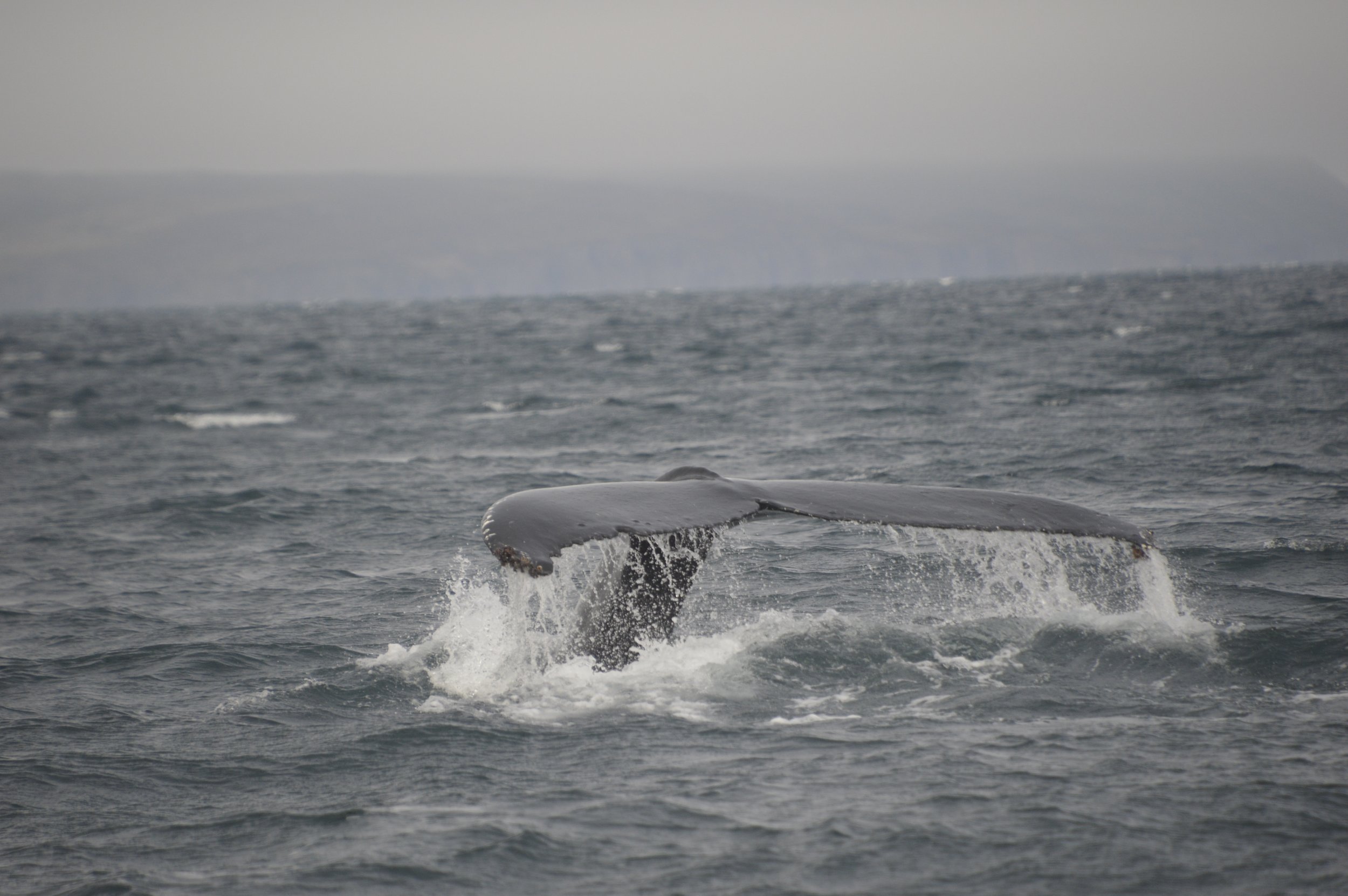 Wednesday, 1 June 2022