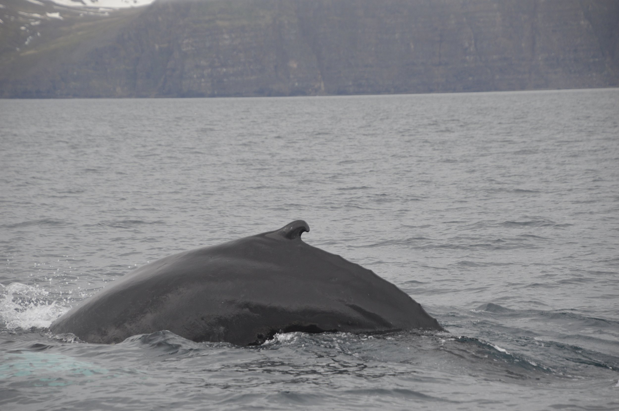 Thursday, 2 June 2022