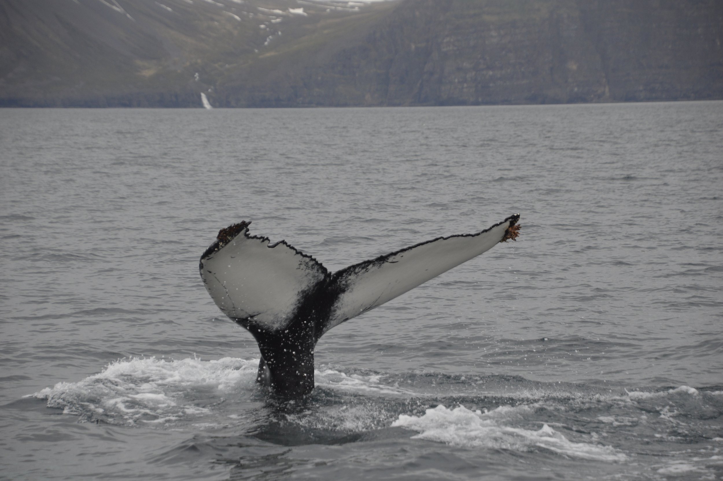 Thursday, 2 June 2022
