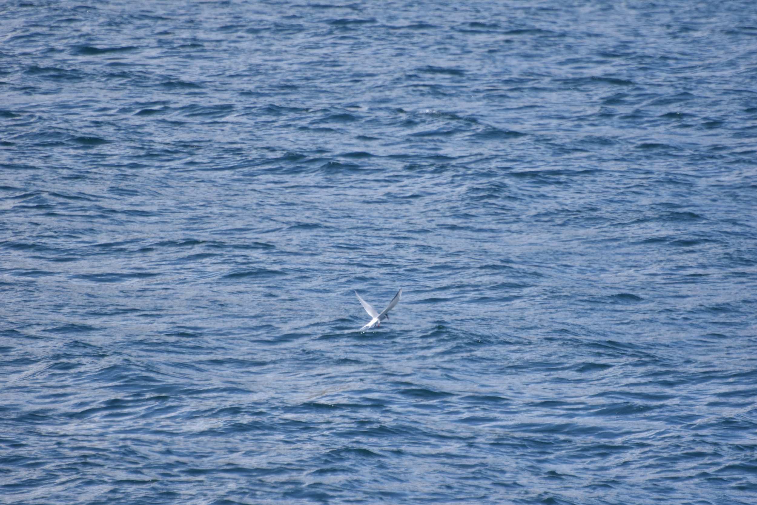 Wednesday, 8 June 2022