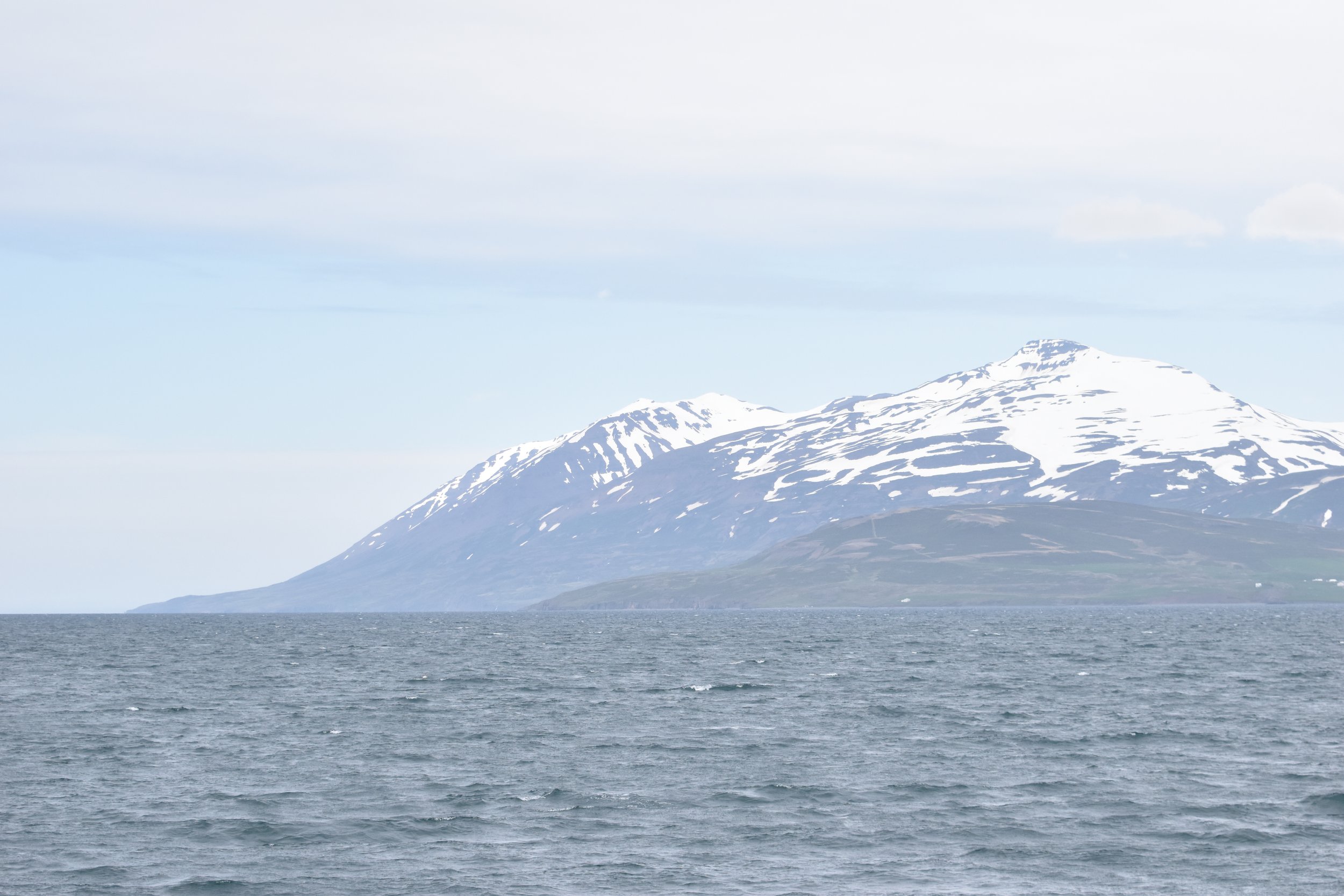 Wednesday, 8 June 2022