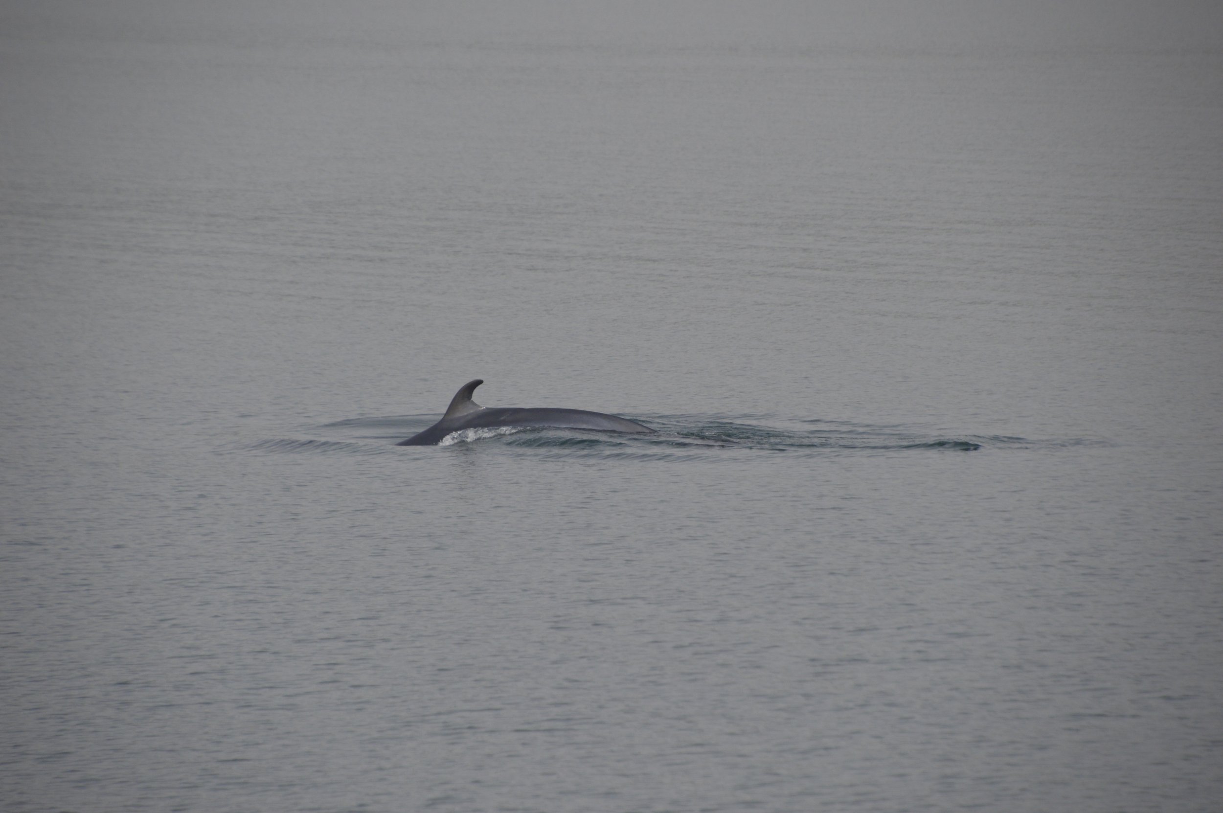 Thursday, 9 June 2022