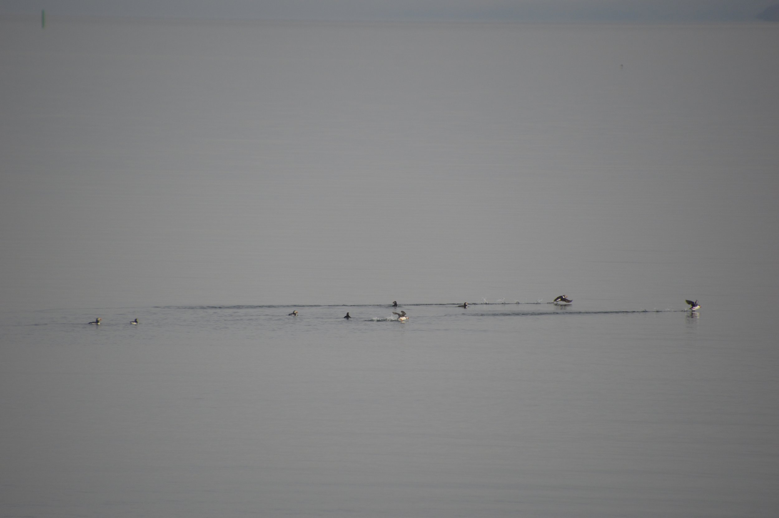 Thursday, 9 June 2022