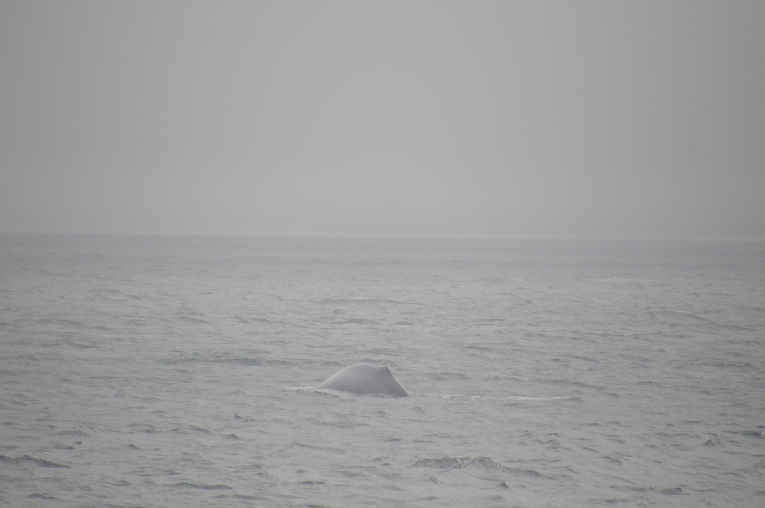 Thursday, 9 June 2022