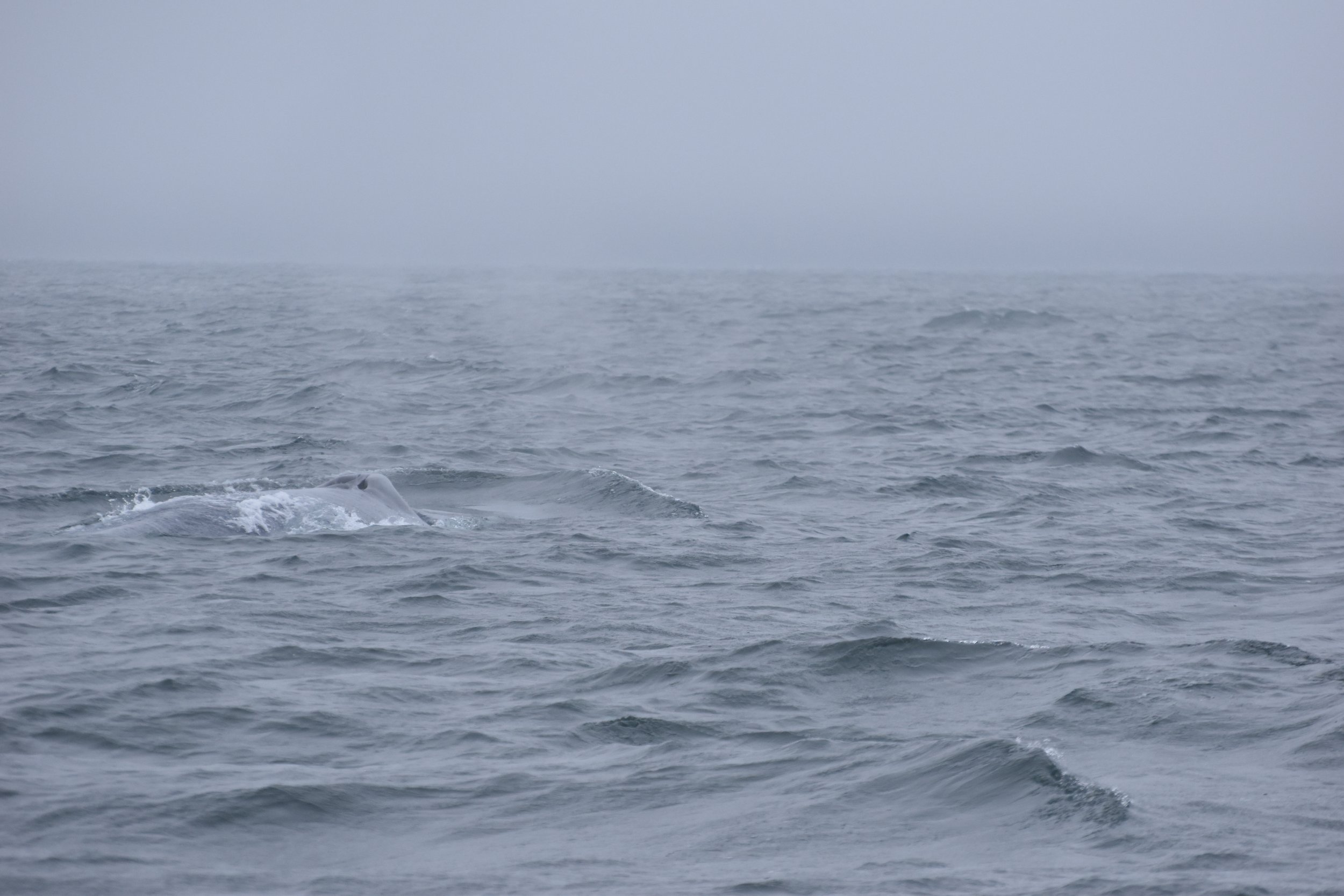 Thursday, 9 June 2022