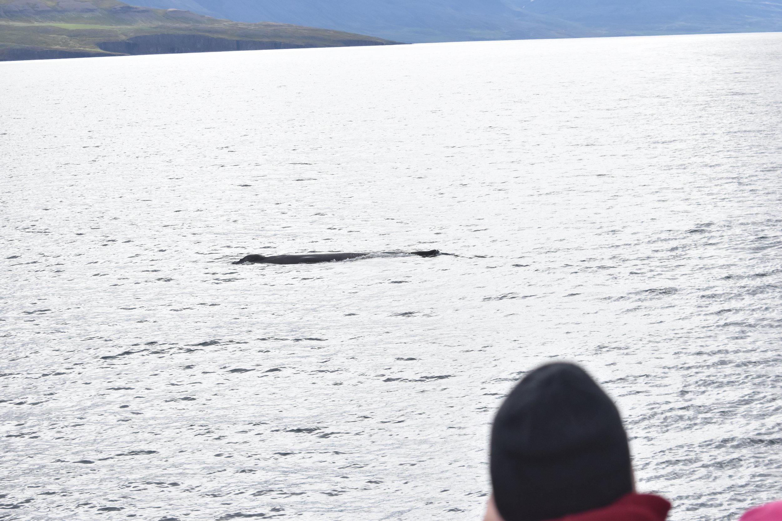 Tuesday, 14 June 2022
