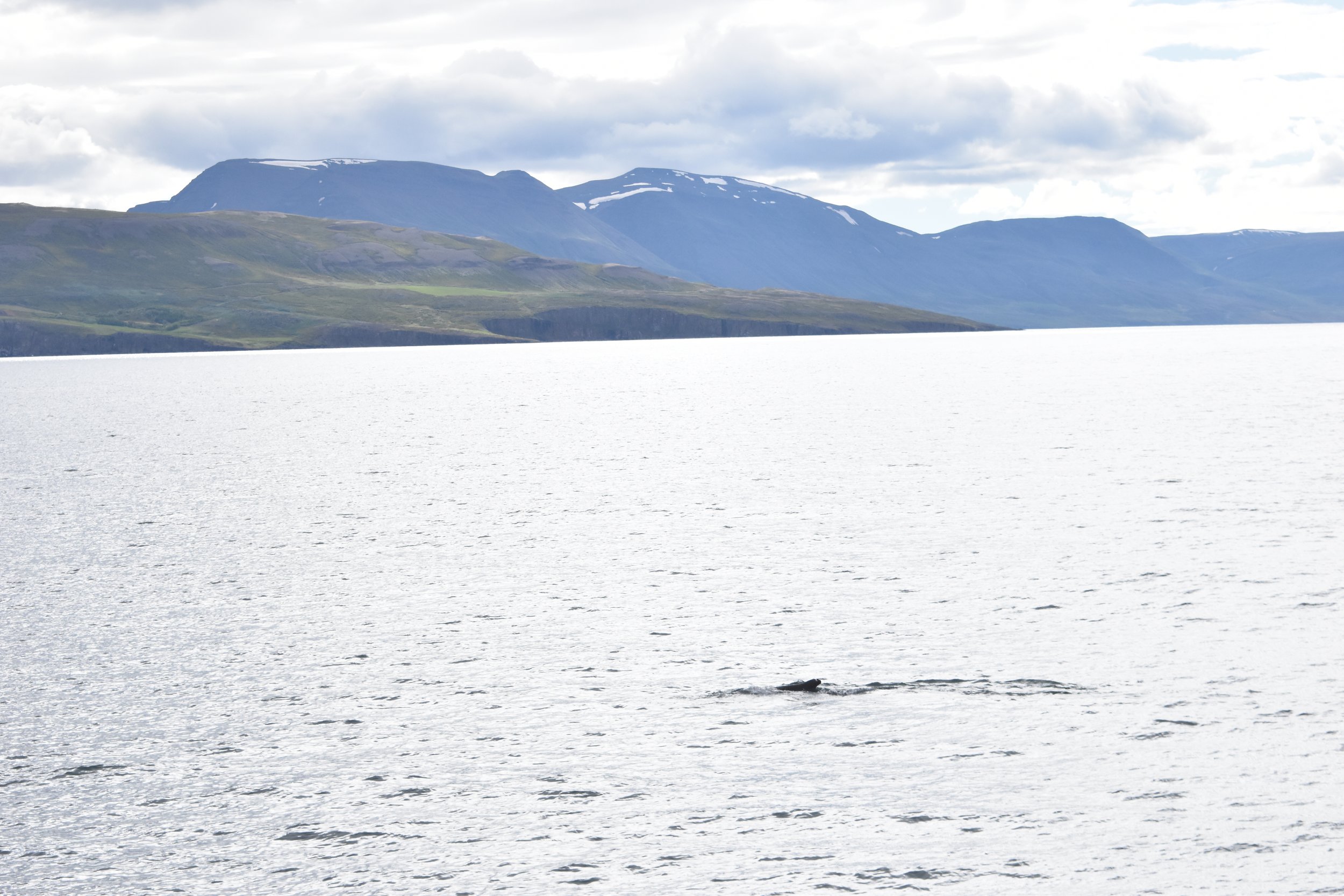 Tuesday, 14 June 2022