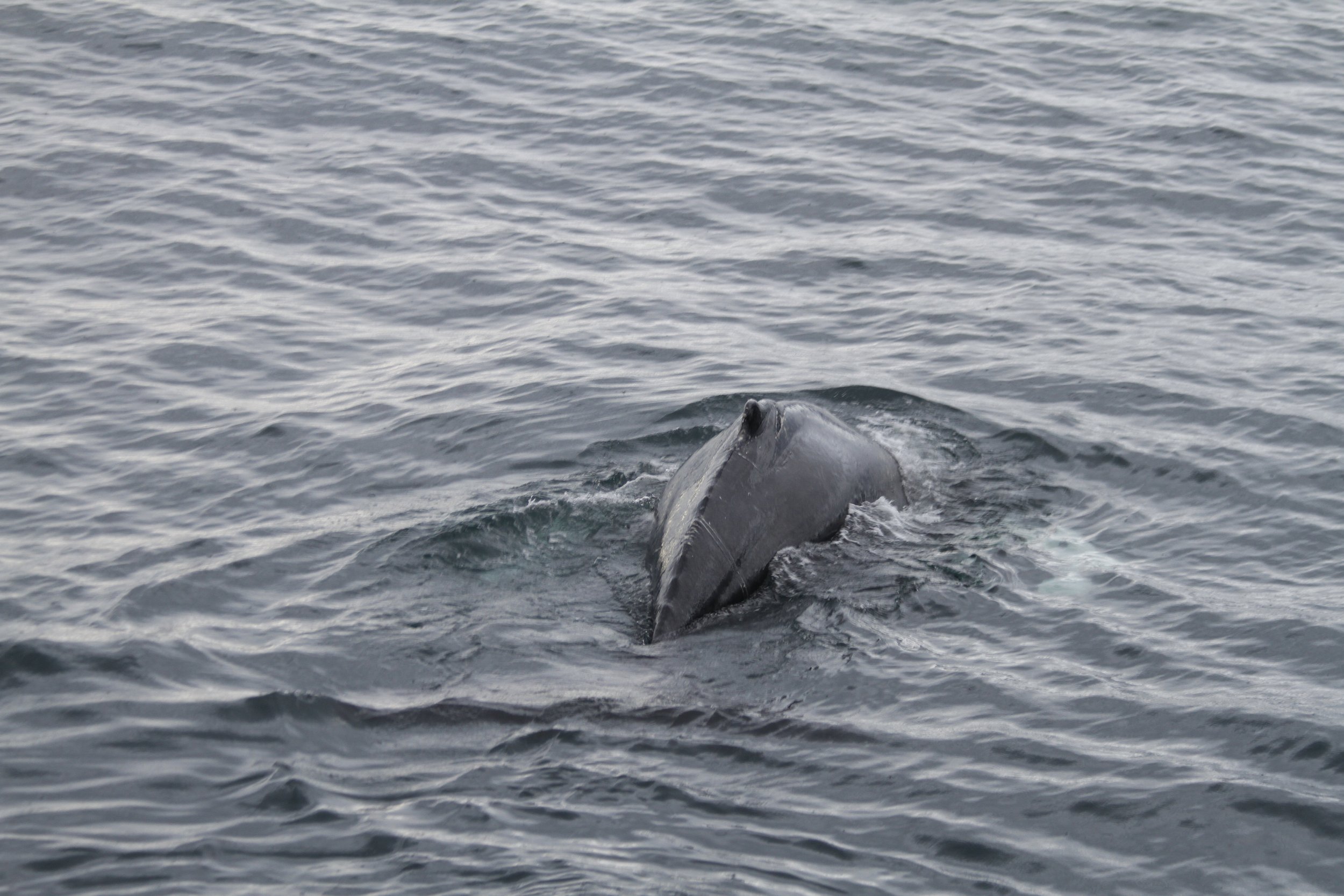 Wednesday , 15 June 2022