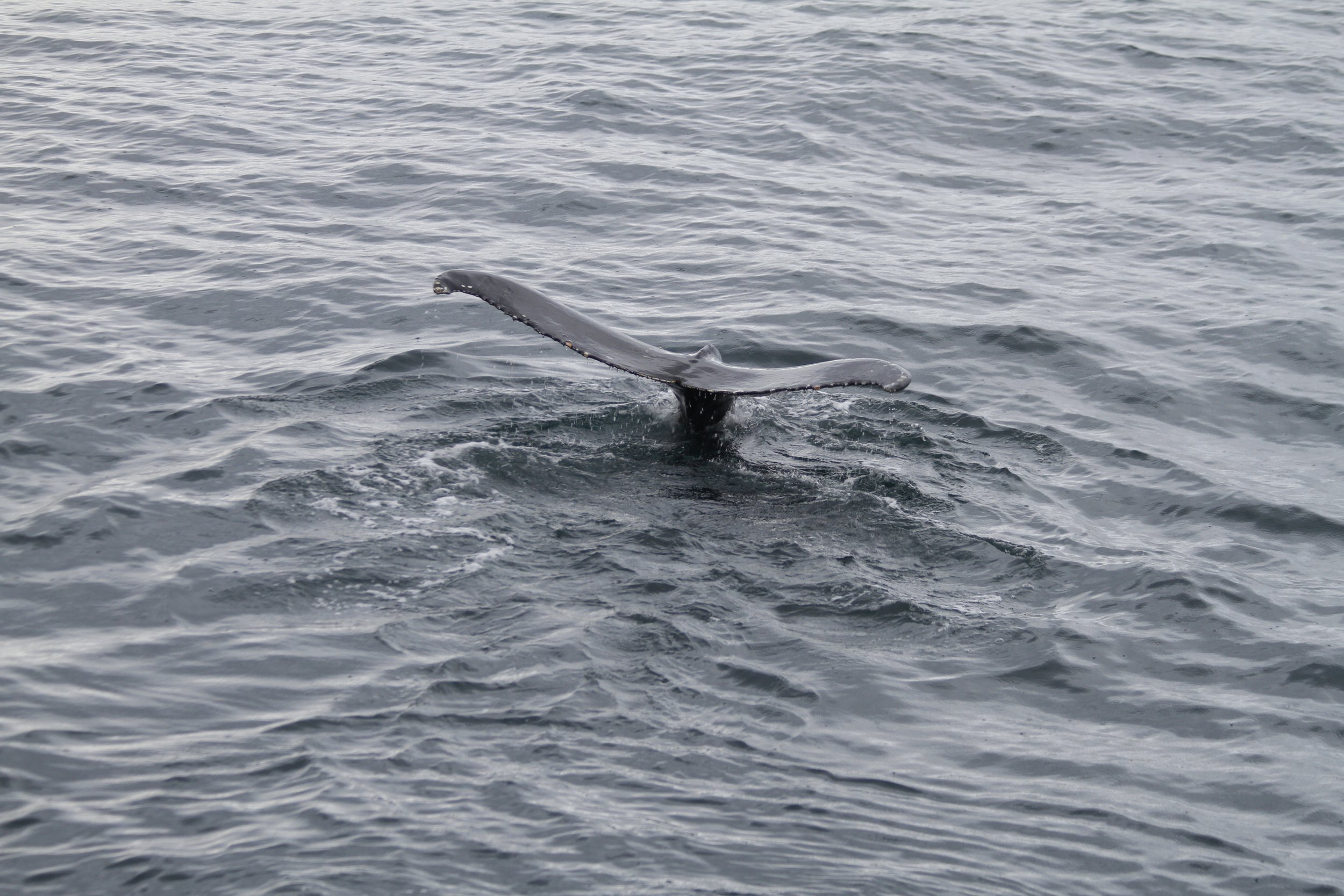 Wednesday , 15 June 2022