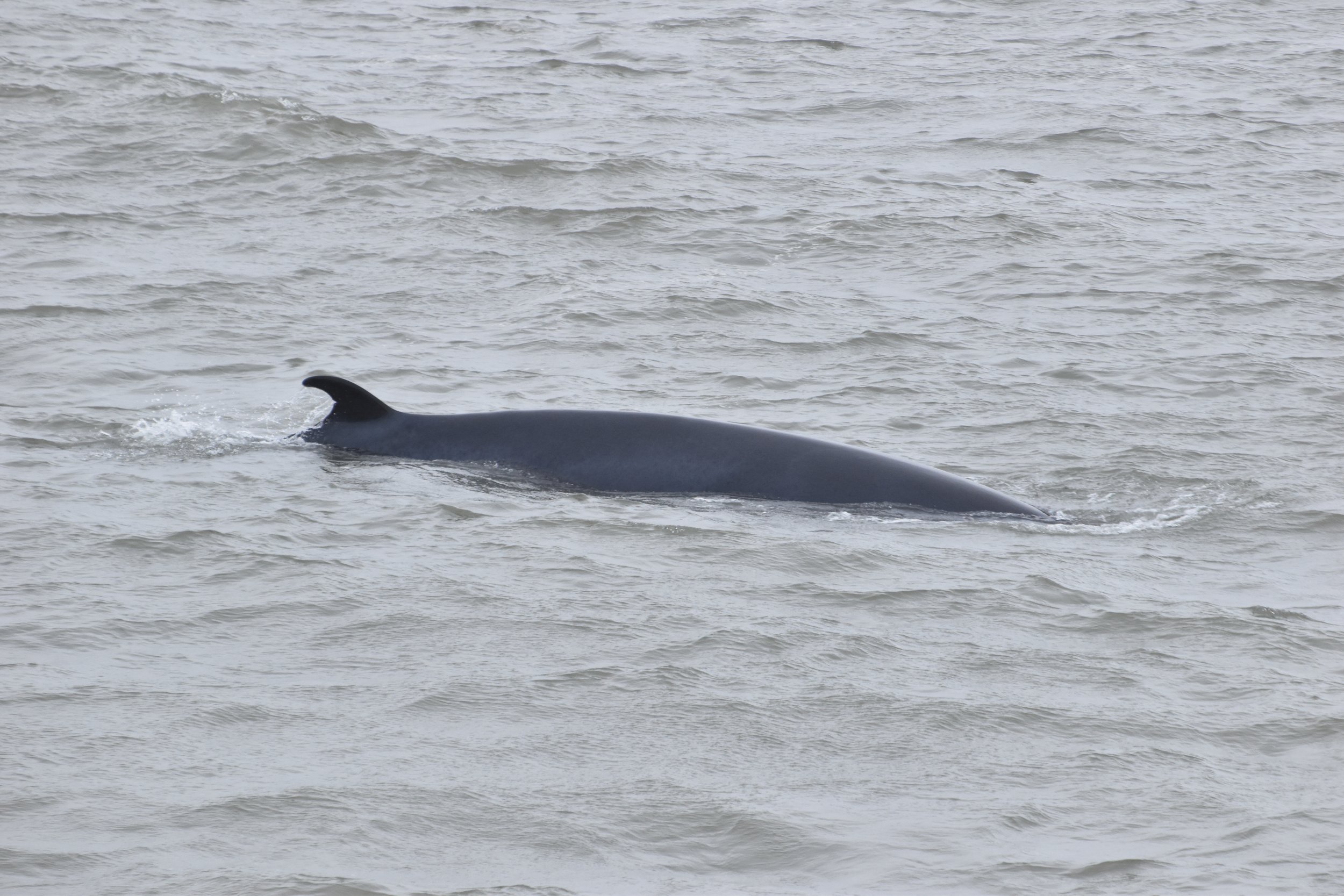 Monday 20 June 2022