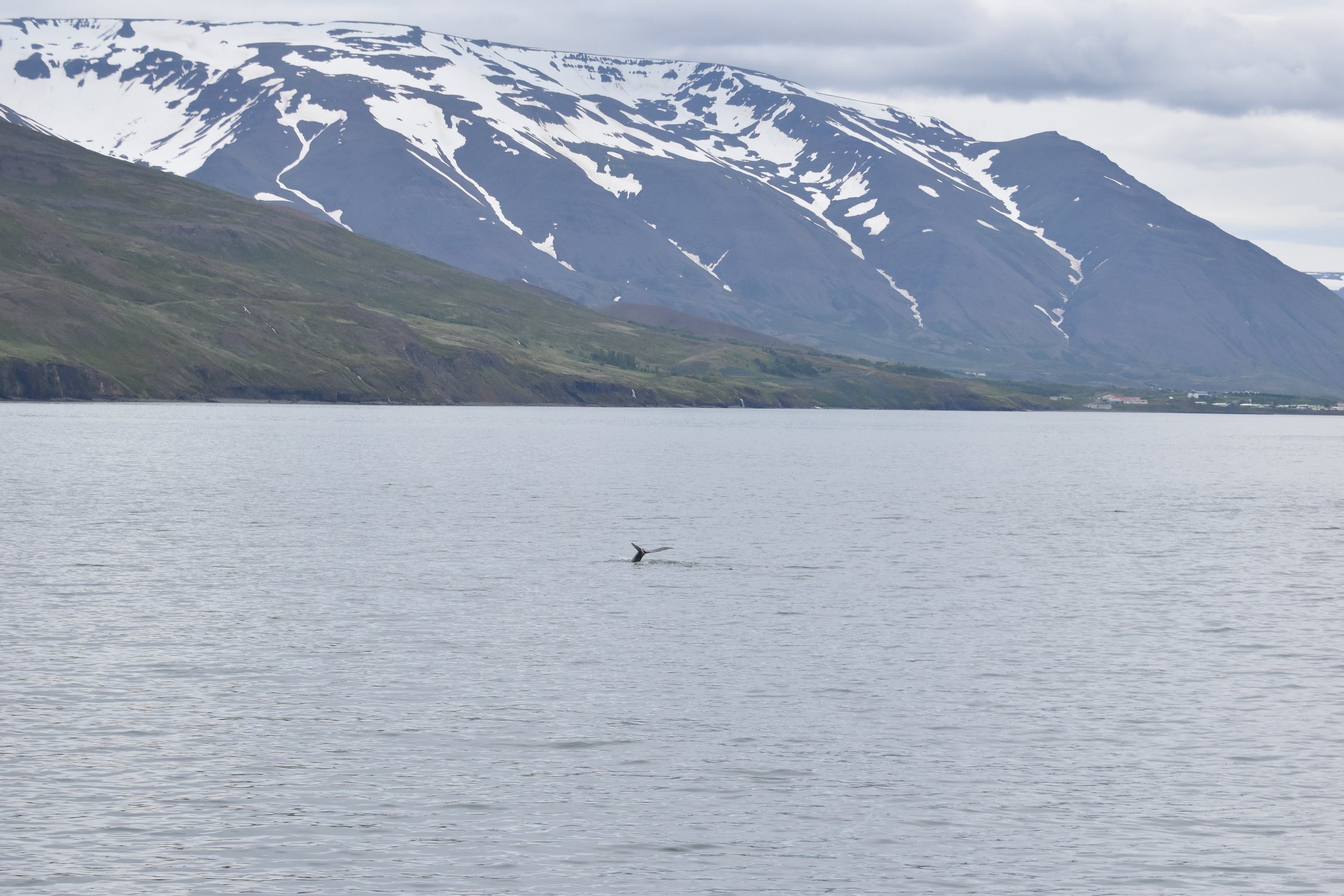 Tuesday, 21 June 2022