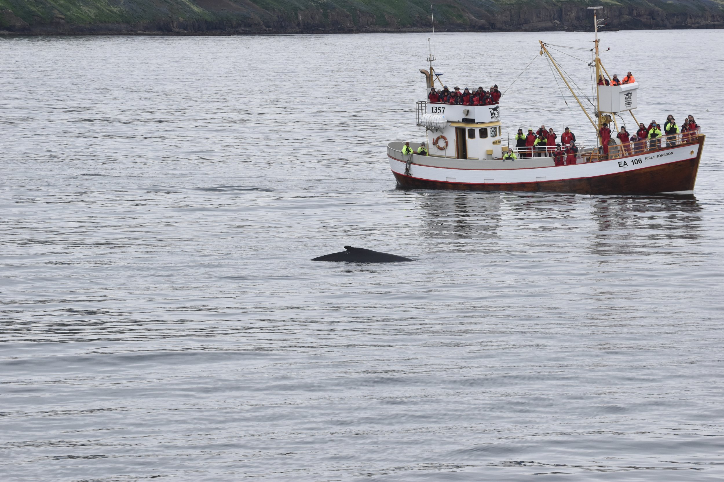 Tuesday, 21 June 2022