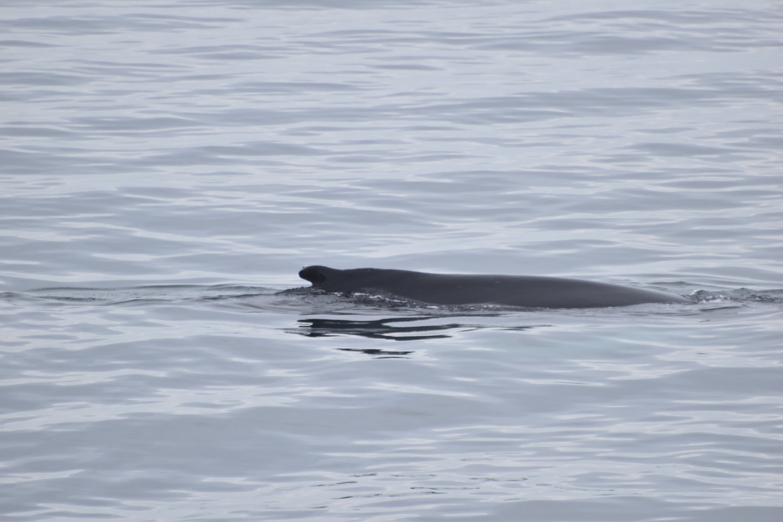 Tuesday, 21 June 2022