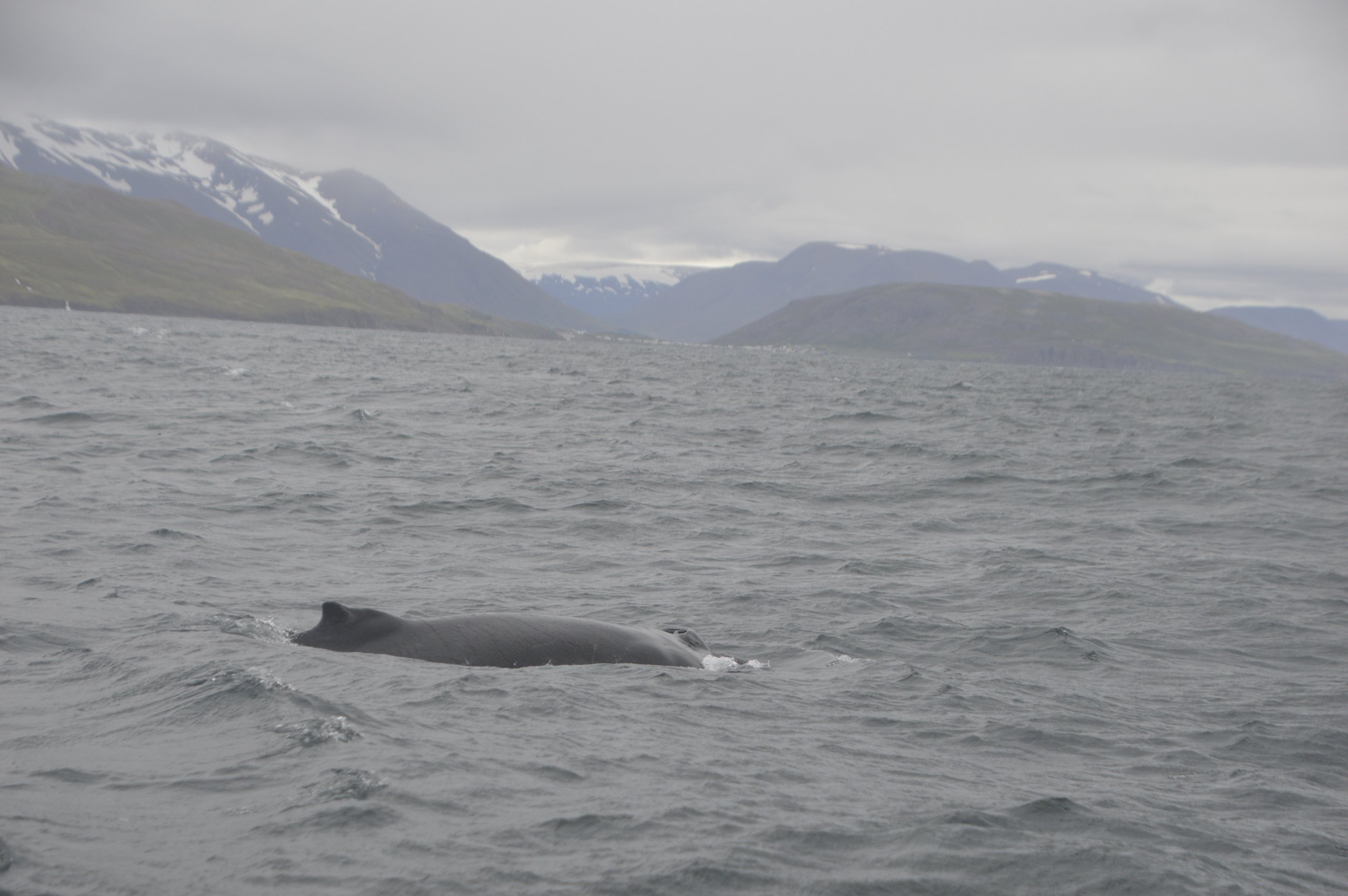 Thursday, 23 June 2022