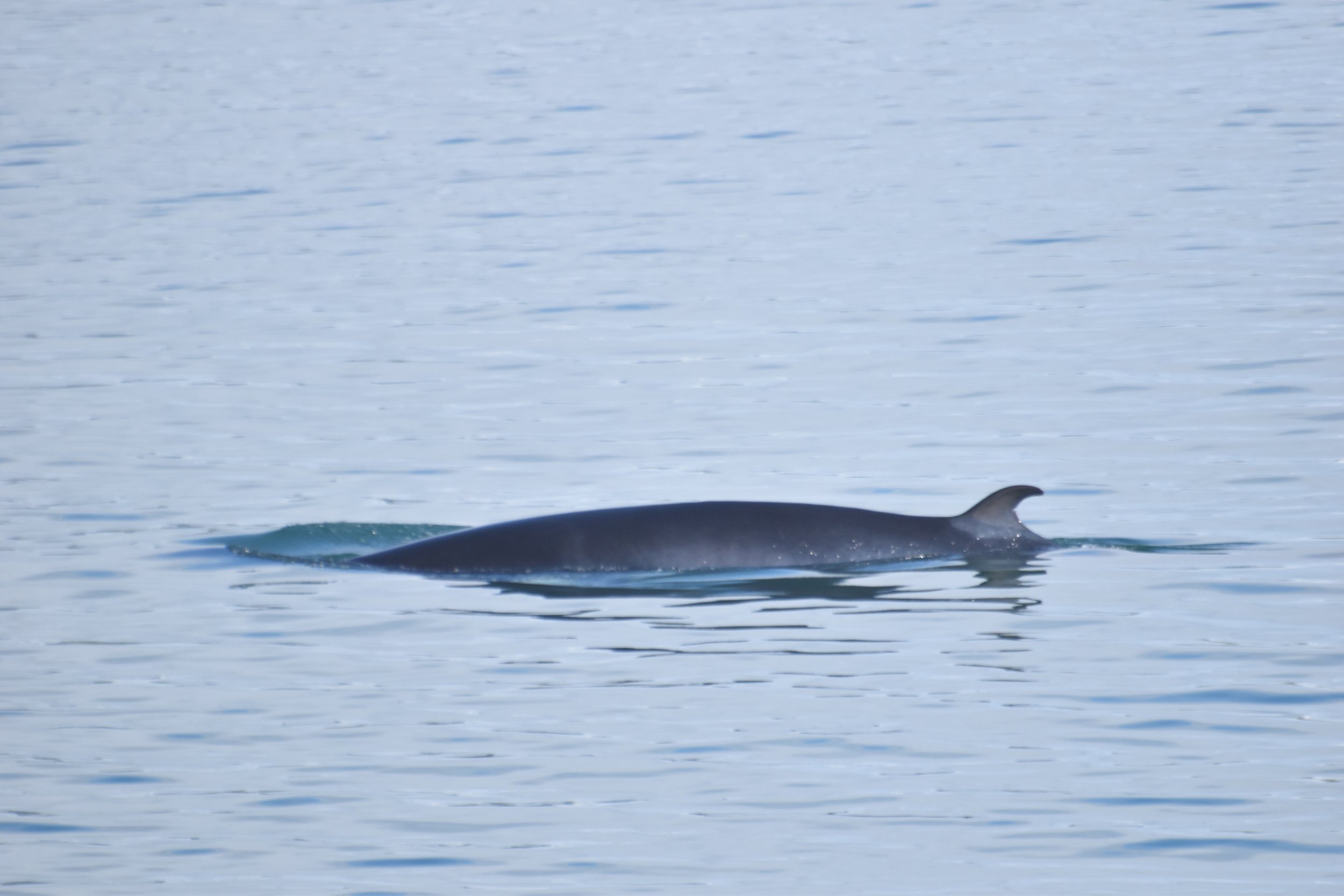 Tuesday, 28 June 2022