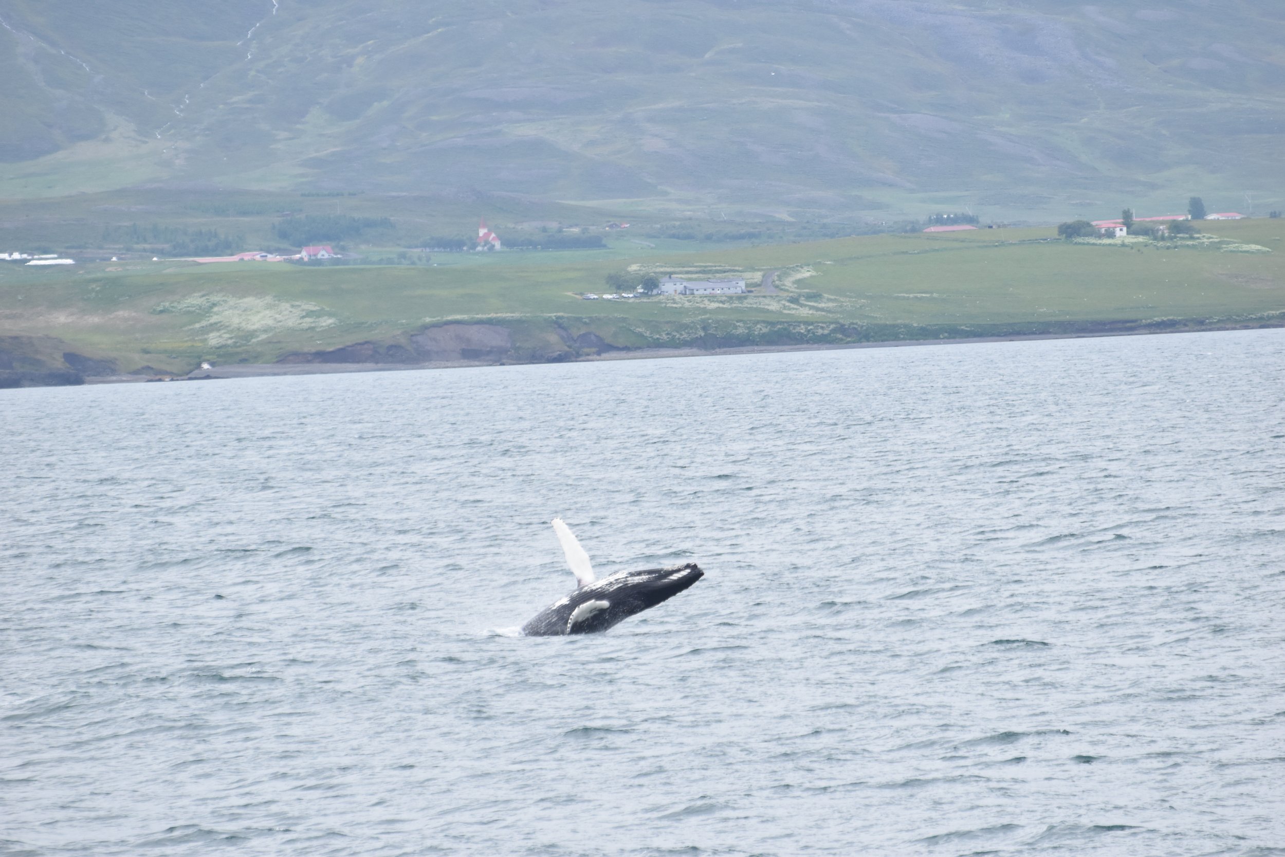 Tuesday, 28 June 2022