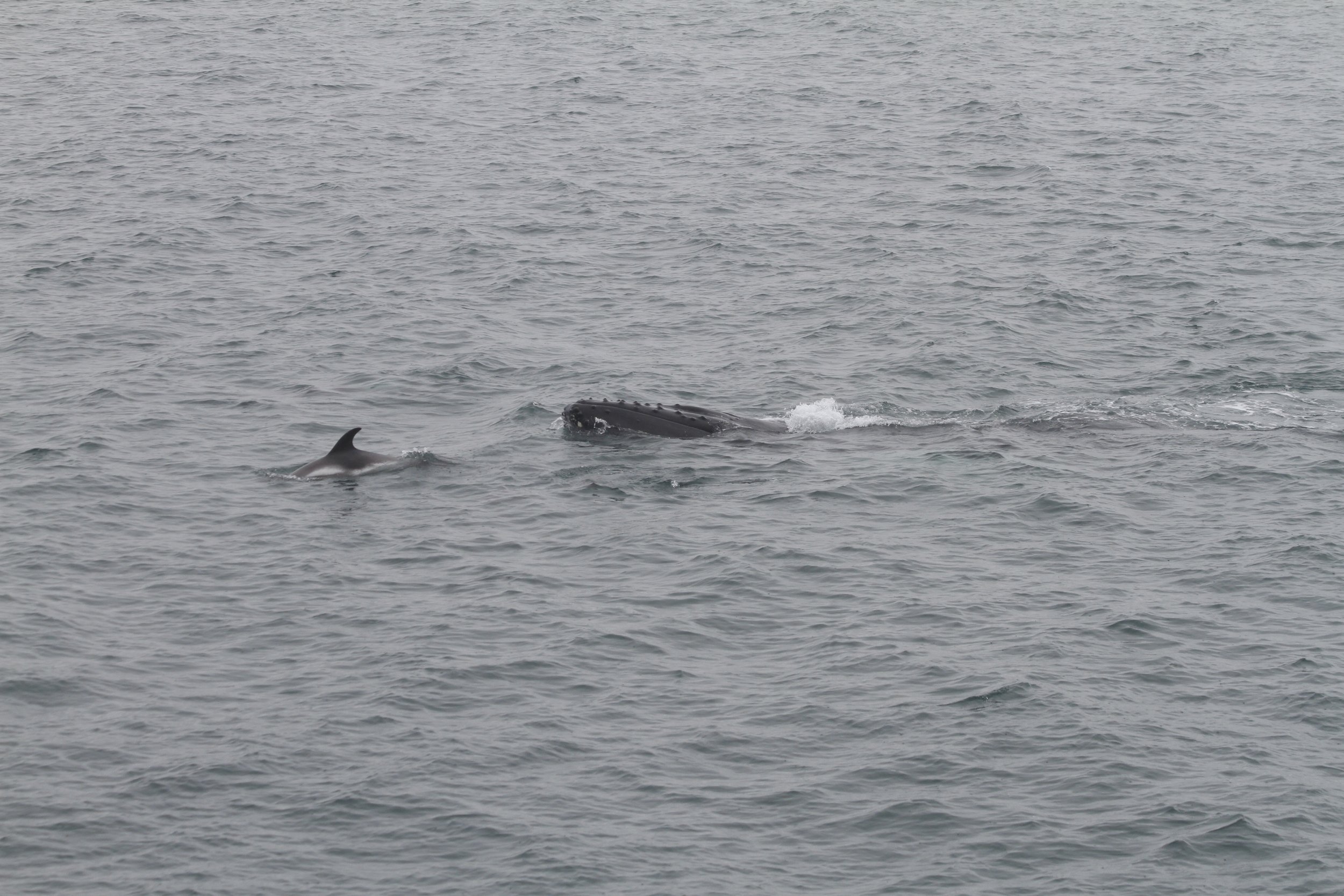 Wednesday, 29 June 2022