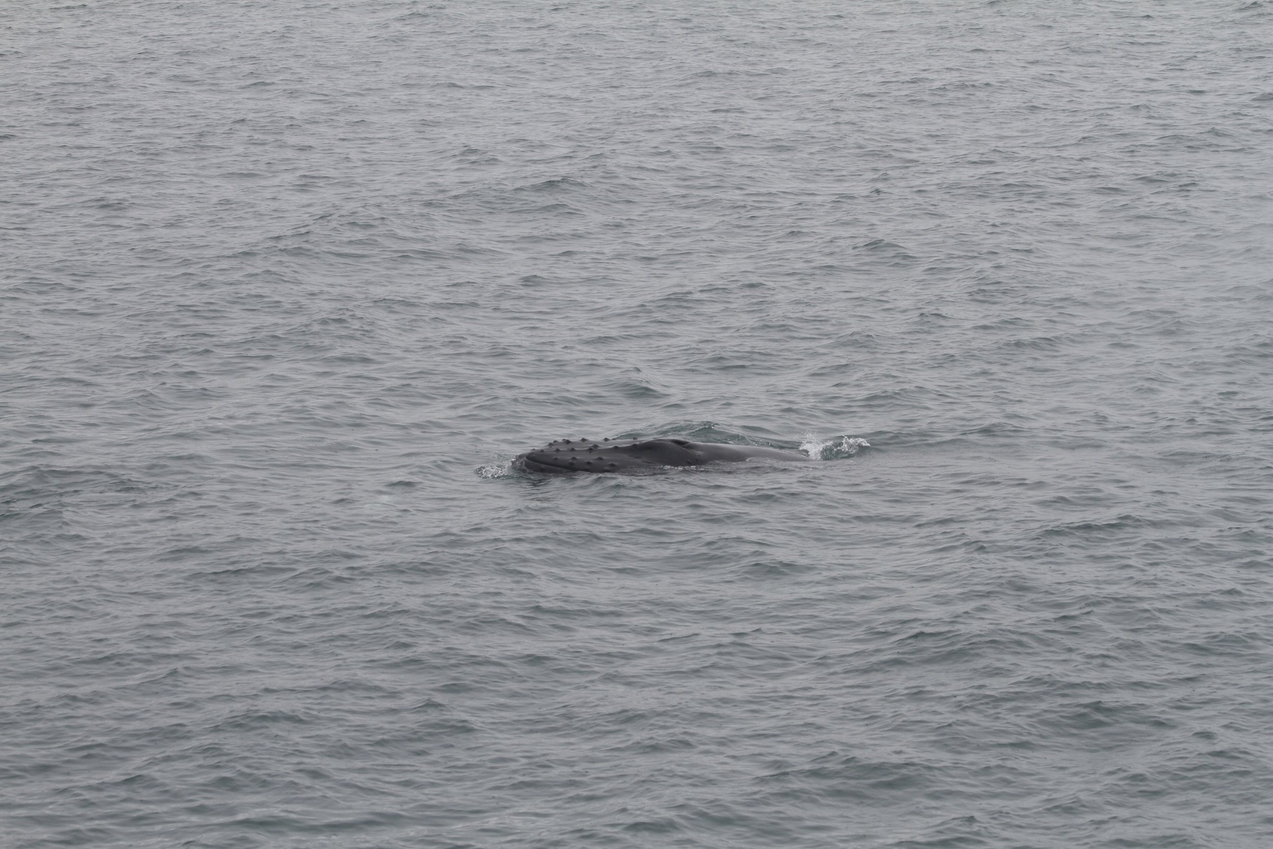 Wednesday, 29 June 2022