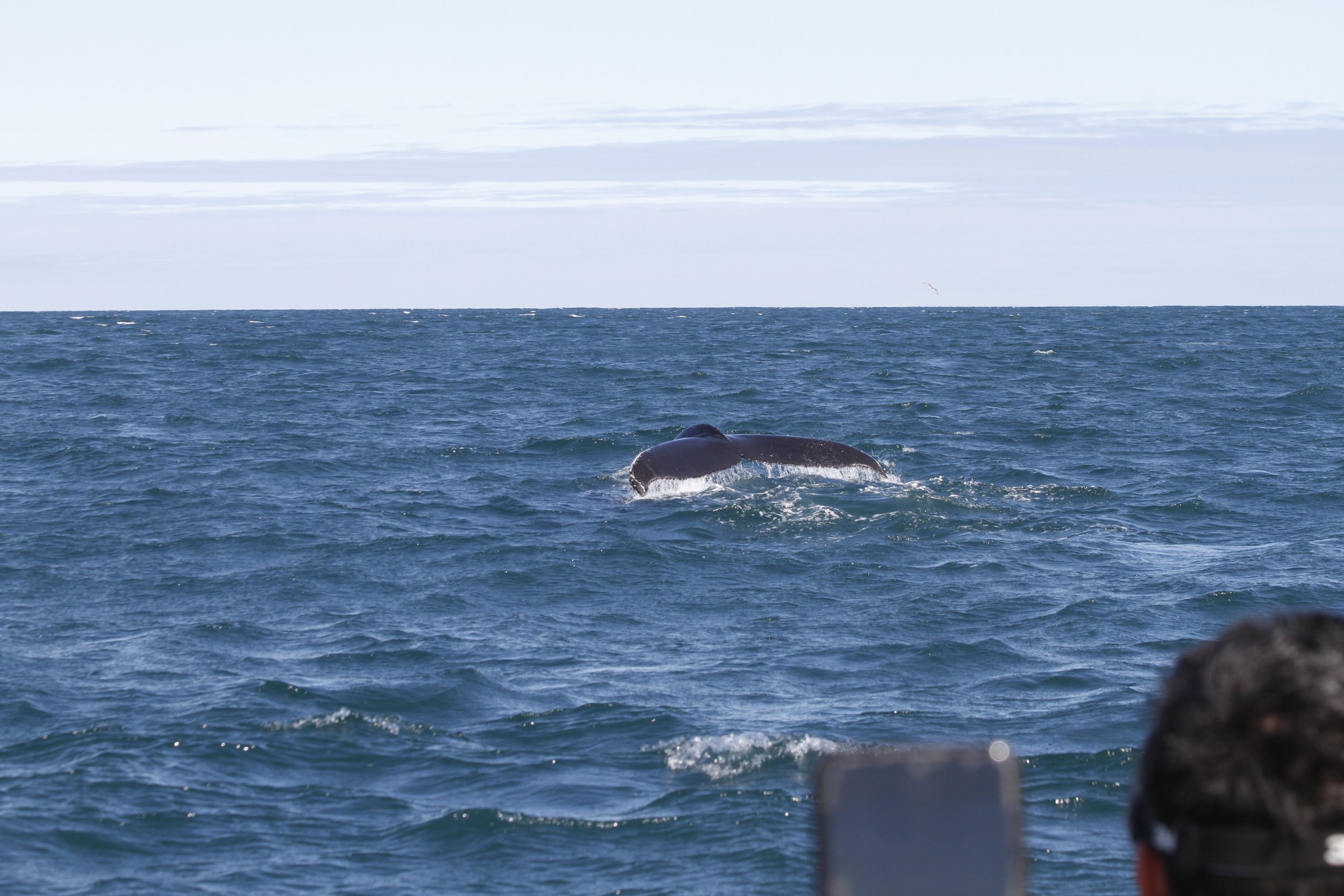 Tuesday, 5 July 2022