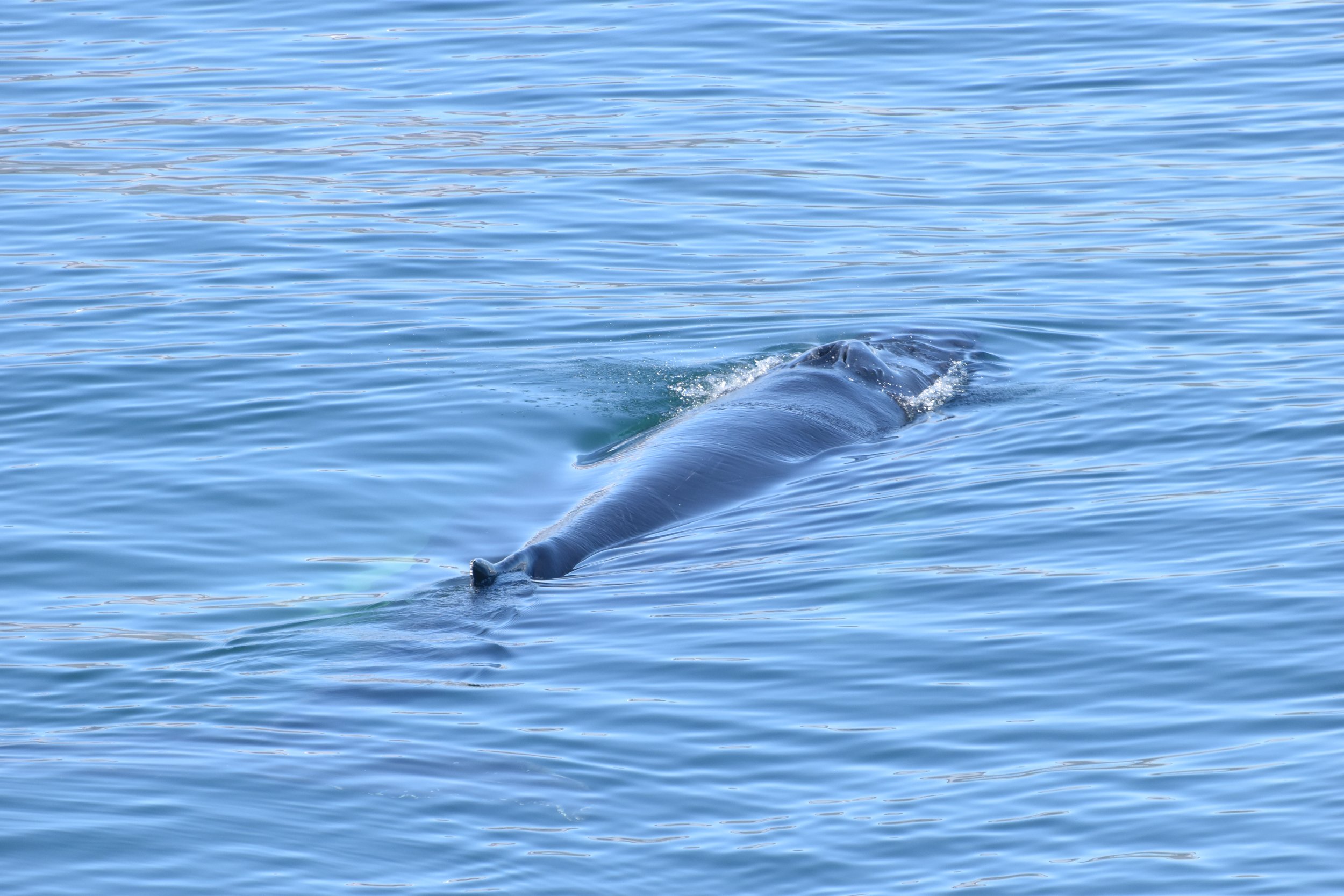 Wednesday, 6 July 2022