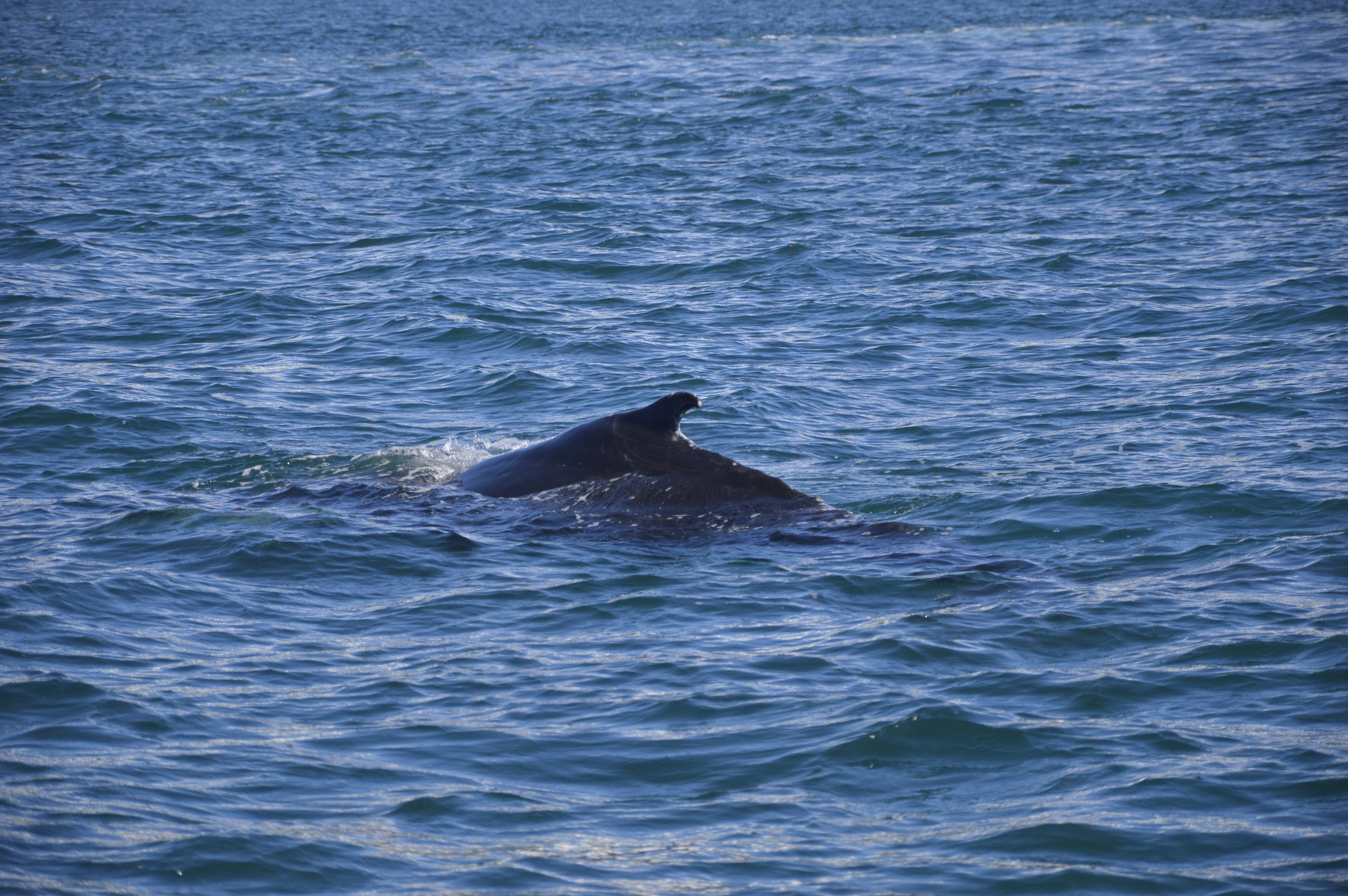 Wednesday, 6 July 2022