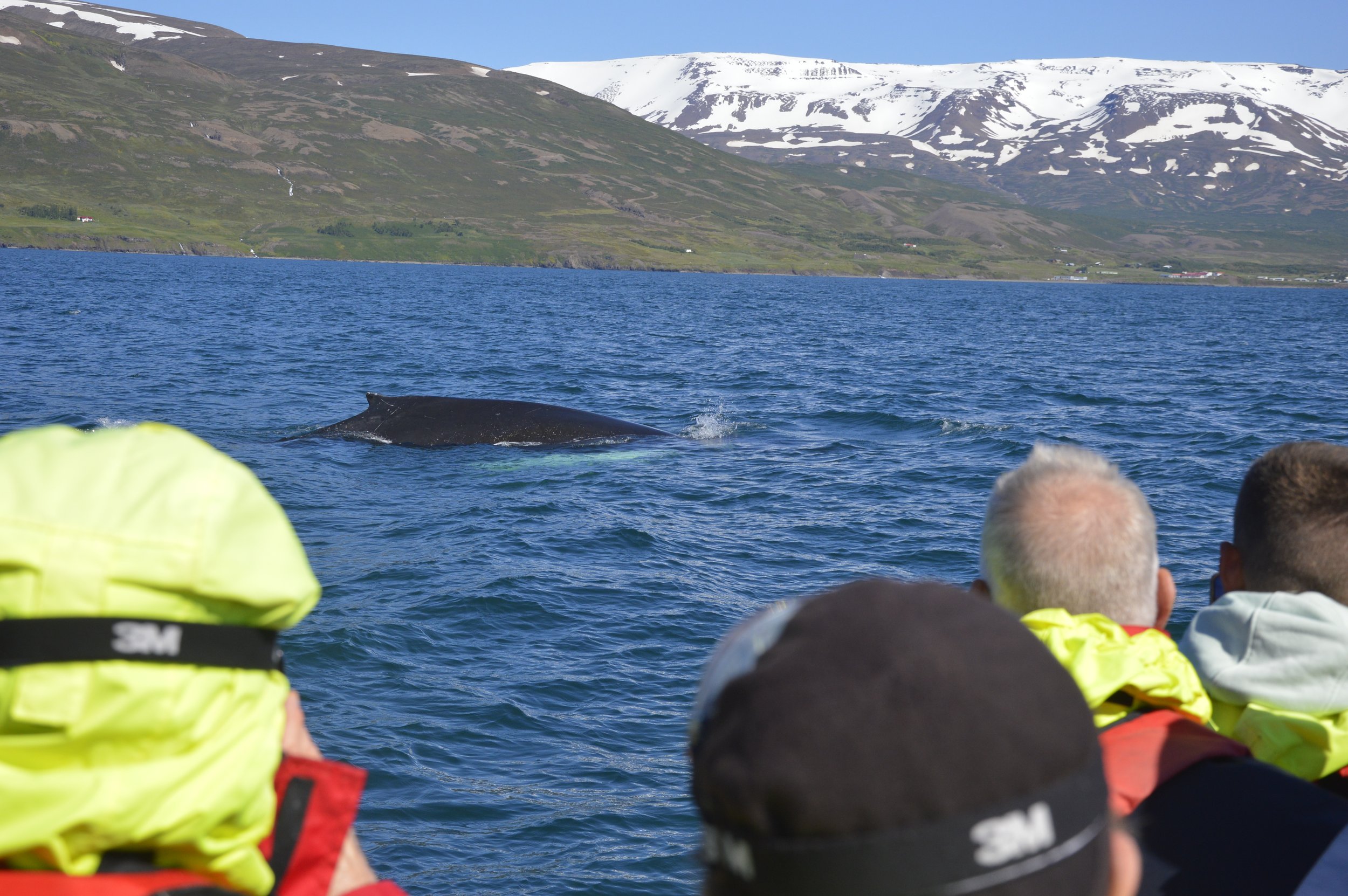 Wednesday, 6 July 2022