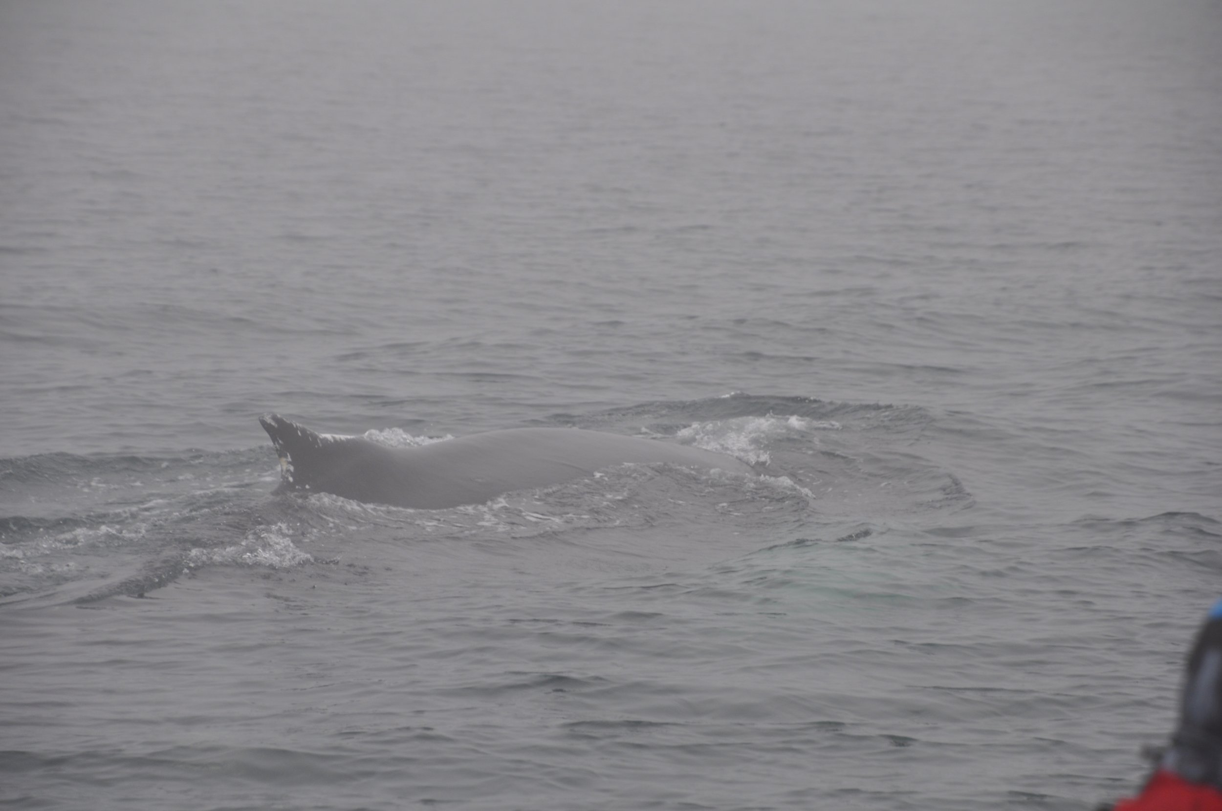 Wednesday, 7 September 2022