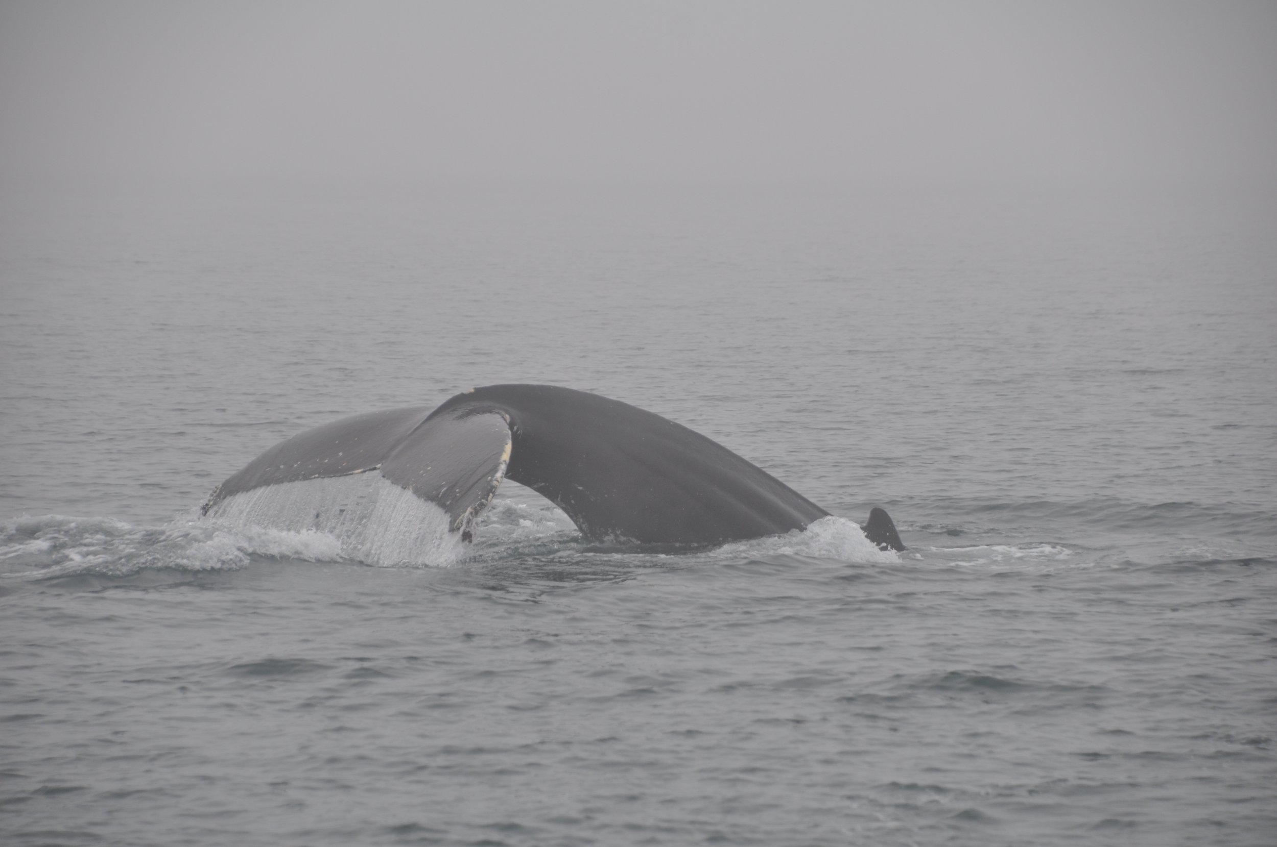 Wednesday, 7 September 2022