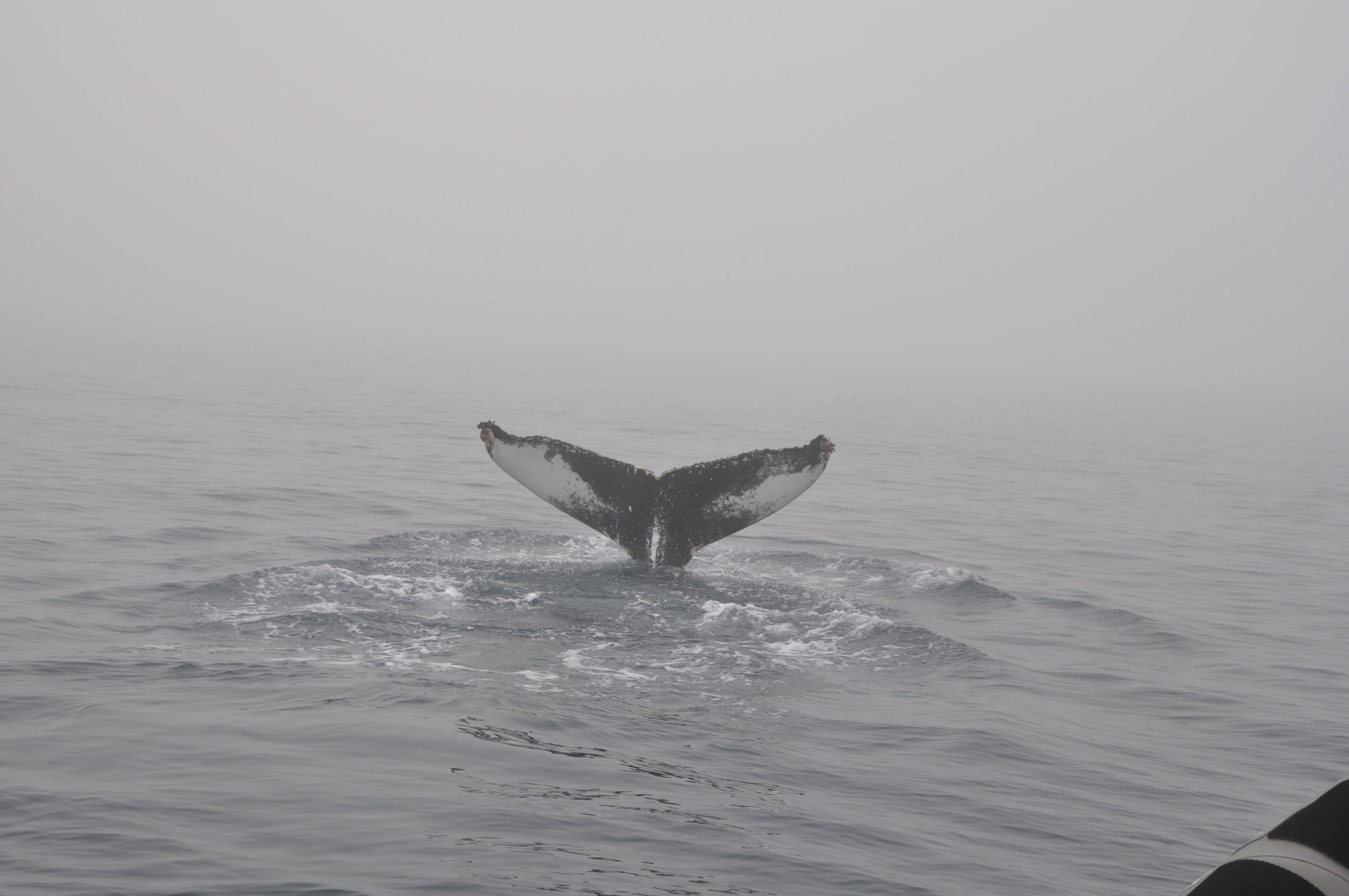 Wednesday, 7 September 2022
