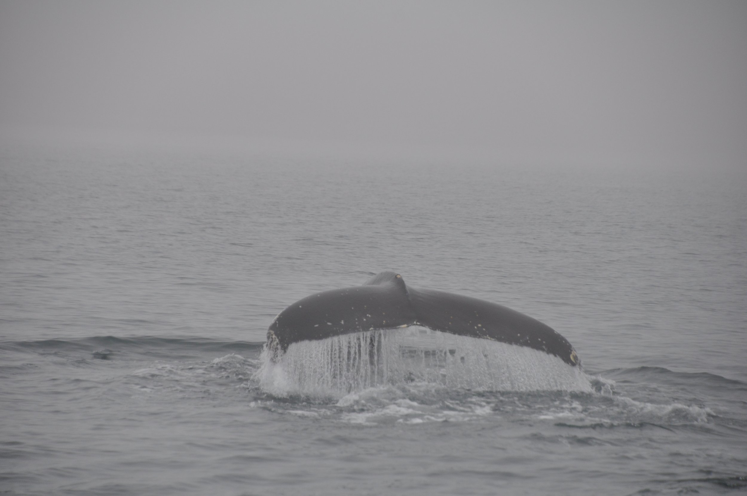 Wednesday, 7 September 2022