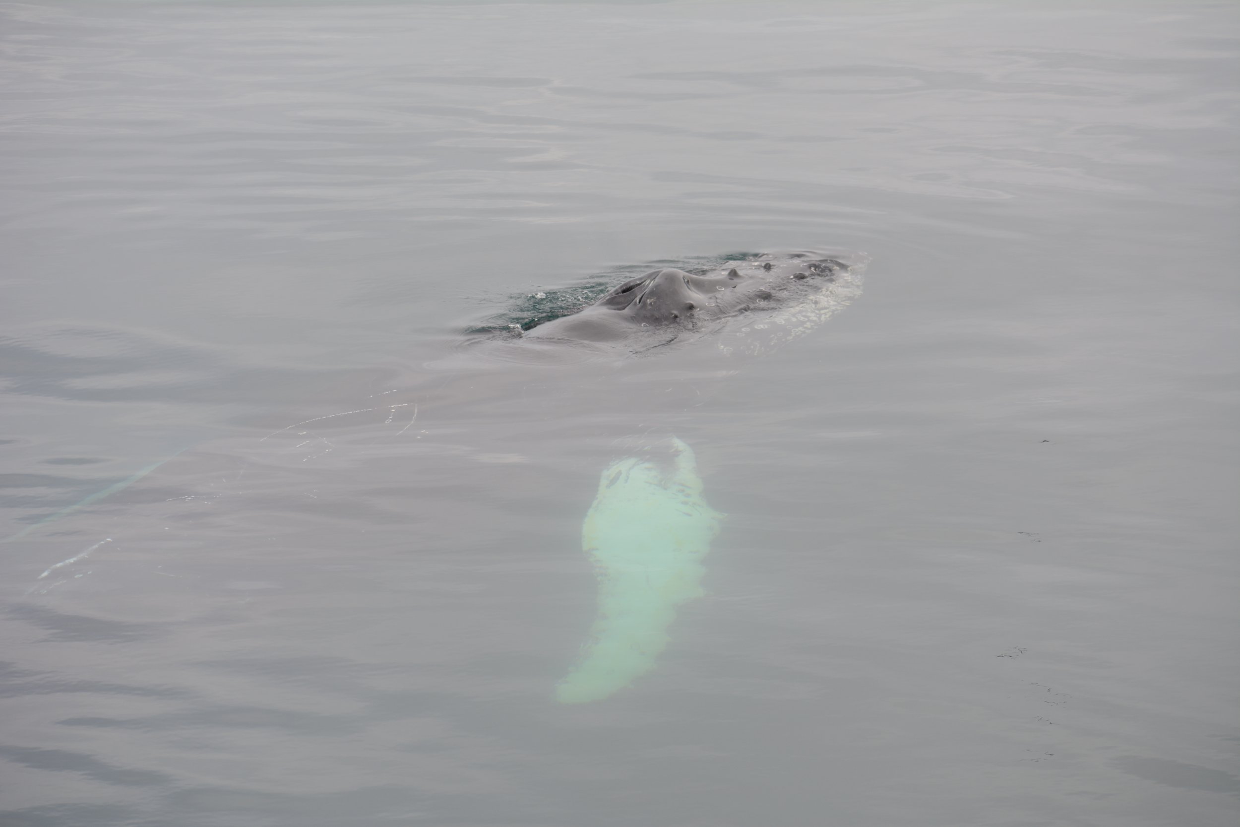 Tuesday, 26 July 2022