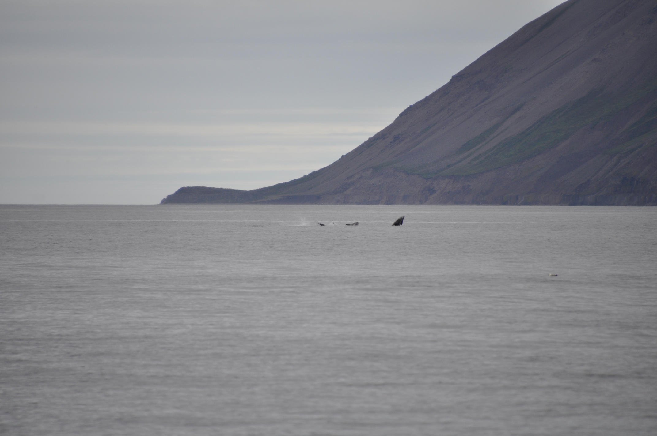 Tuesday, 9 August 2022